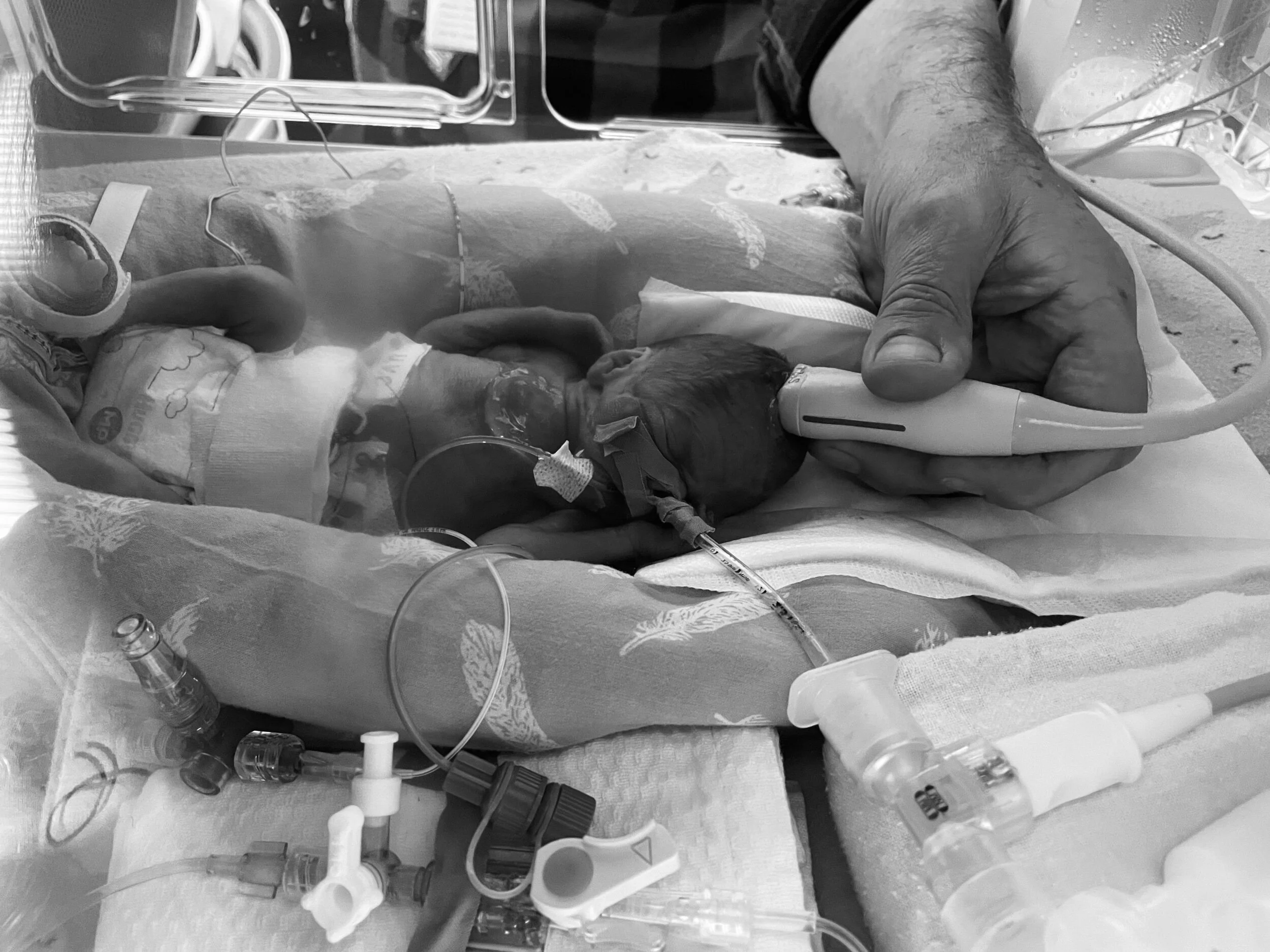 Welcome to the Rollercoaster 