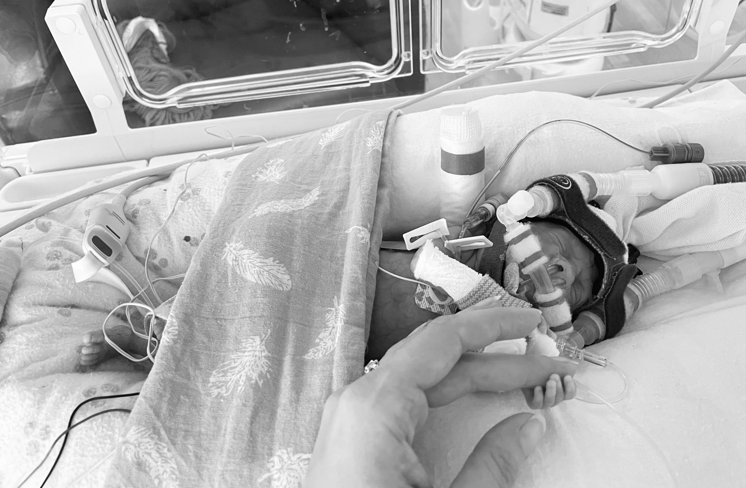 Busy Day, Grumpy Night 