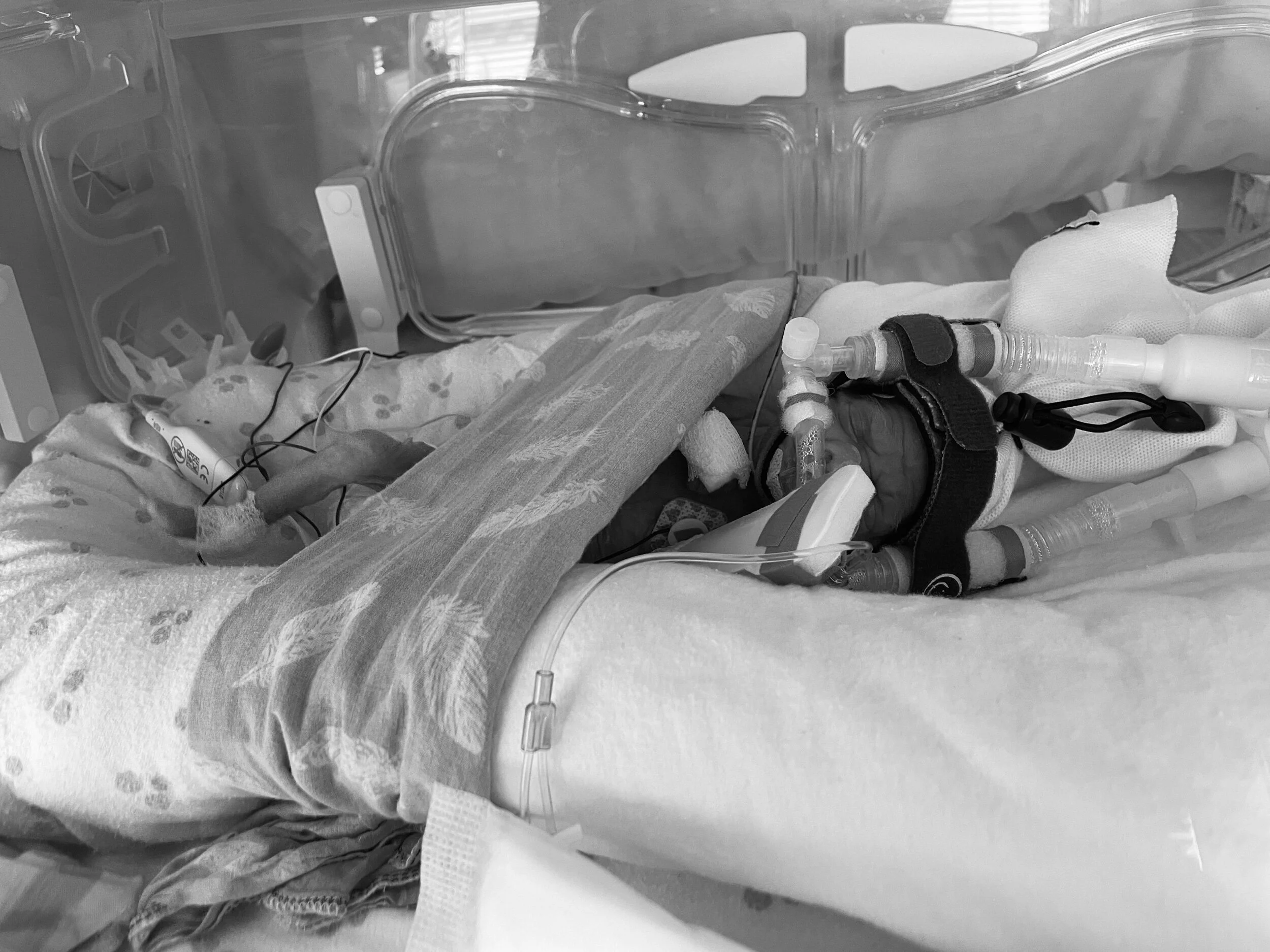 No Cuddles for 3 Days