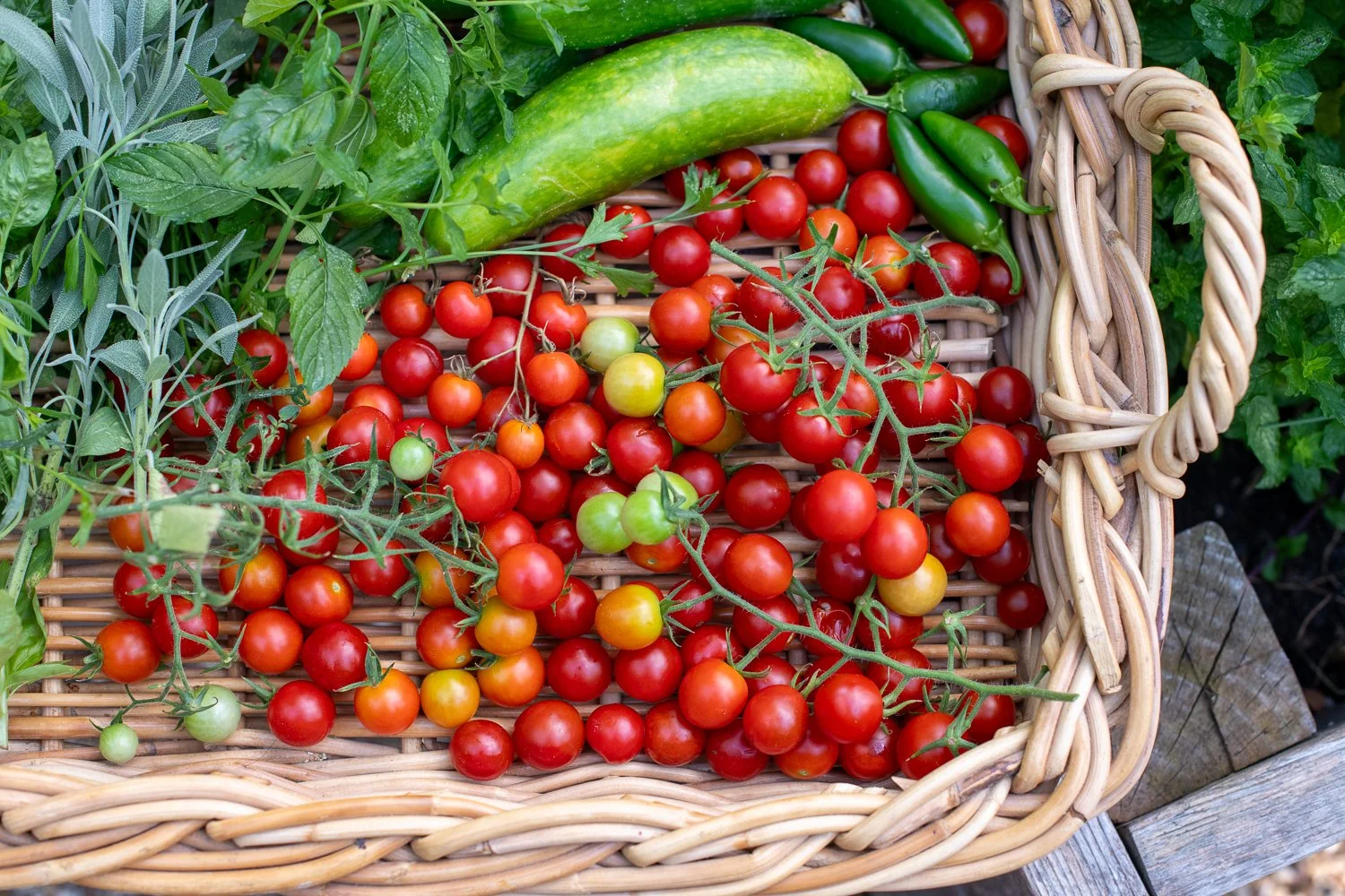 Branding Photography - Detail for Barefoot in the Garden by Karen Palmer, a St. Louis based Photographer