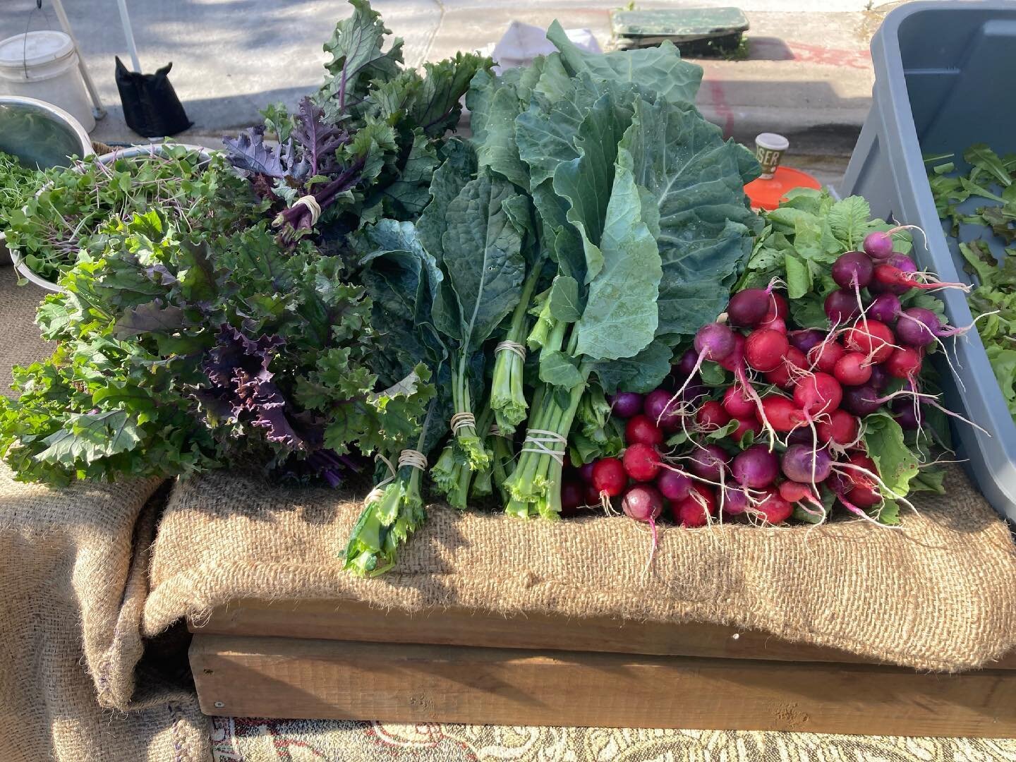 Catch me at the highlands farmers market every Sunday! The booth is near 32nd and Lowell, just west of Novo Coffee
