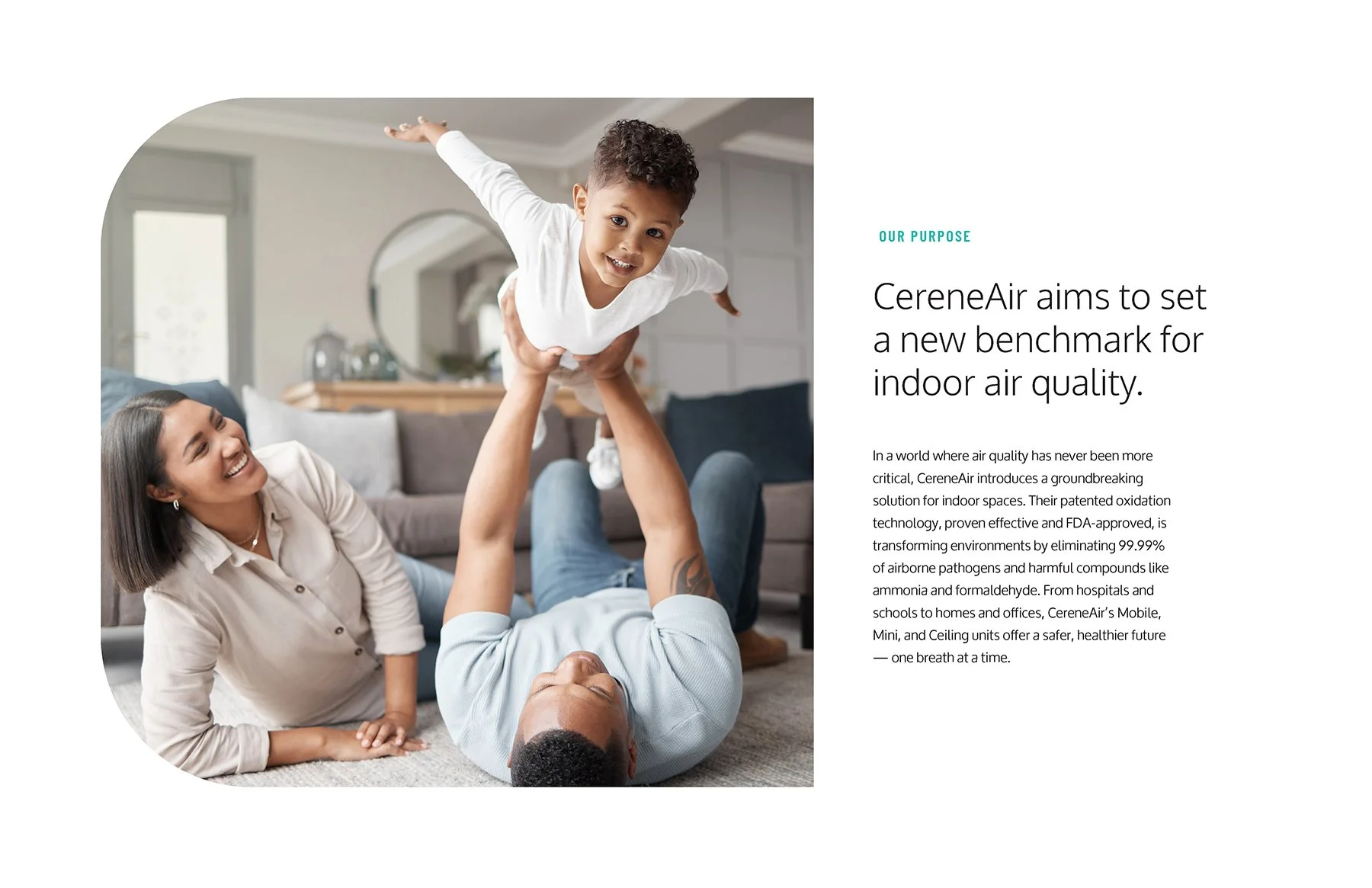 003_CER_CereneAir_Brand Guidelines_v1.1_Page_04.jpg