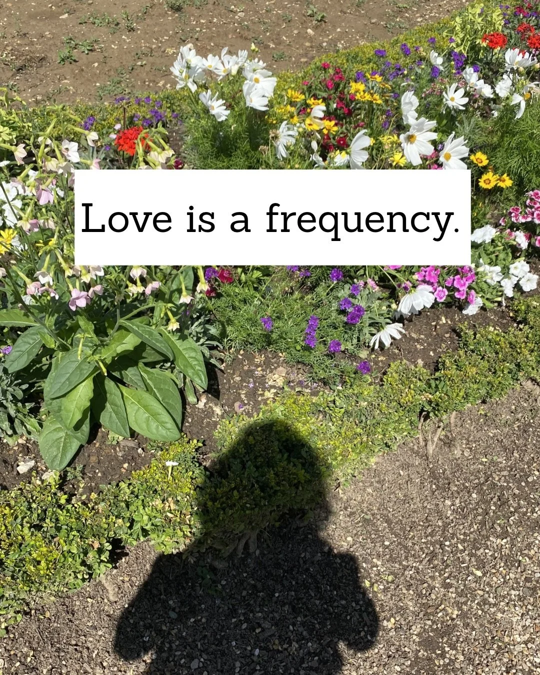 I craved love for a very long time before realizing it was something I needed to embody myself. It&rsquo;s through the lived experience of betrayal and broken hearts that we often develop our self-esteem and self-value. But wouldn&rsquo;t it be so mu