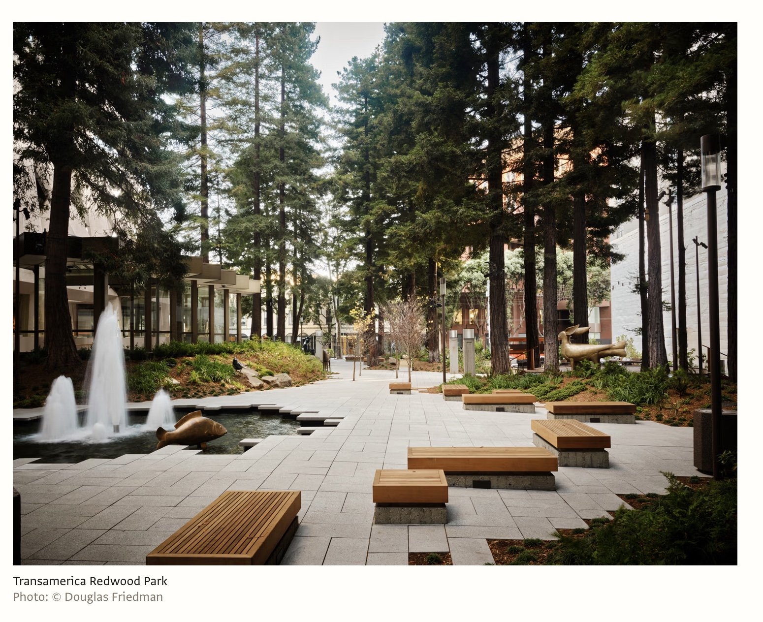 San Francisco museum rejects permanent space in favour of site-specific exhibitions