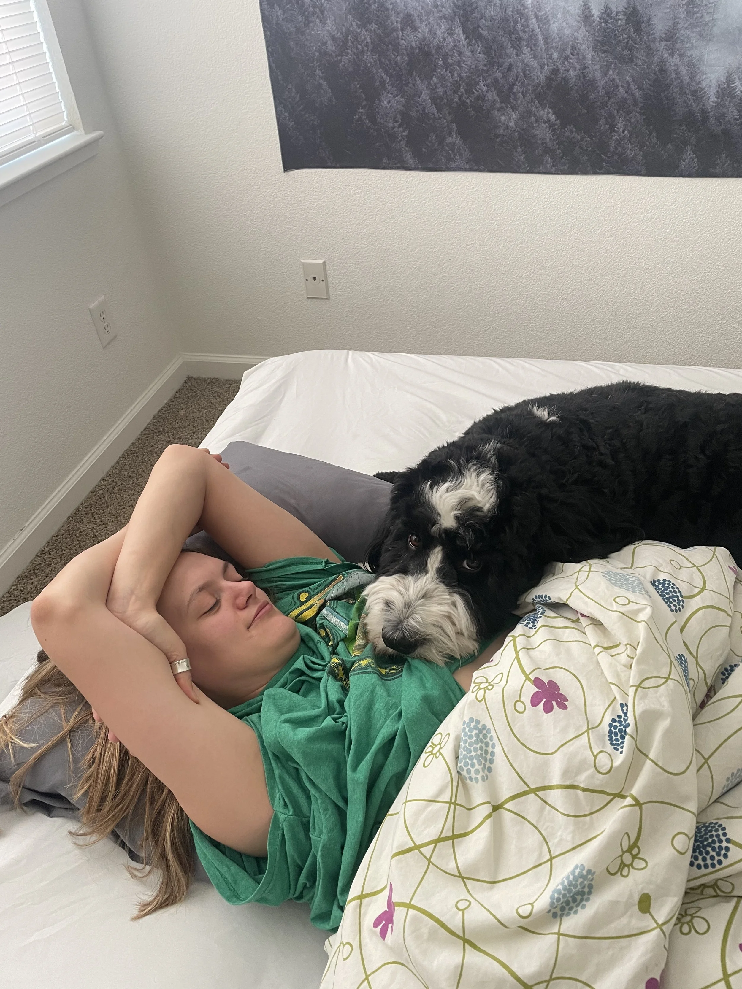 Snuggles with Milo the Bernadoodle