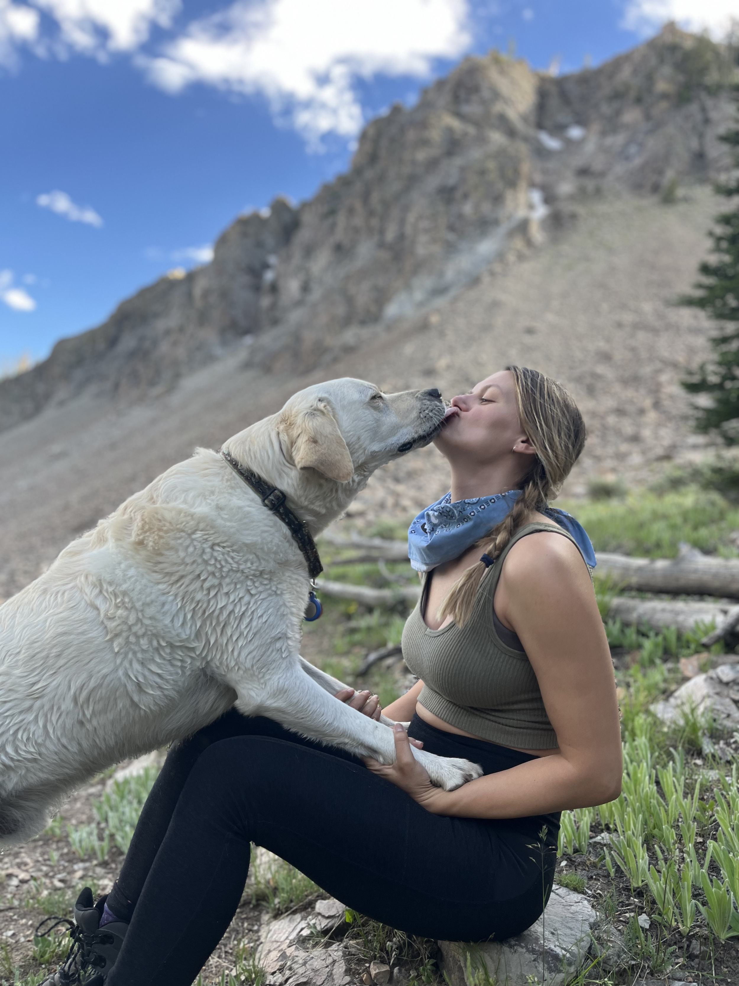 Hike with my favorite Yellow Lab