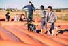 Colorado Pumpkin Patch Activities — Colorado Kids Ranch