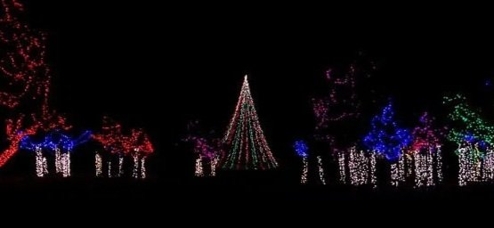 001+light+show+8.jpg
