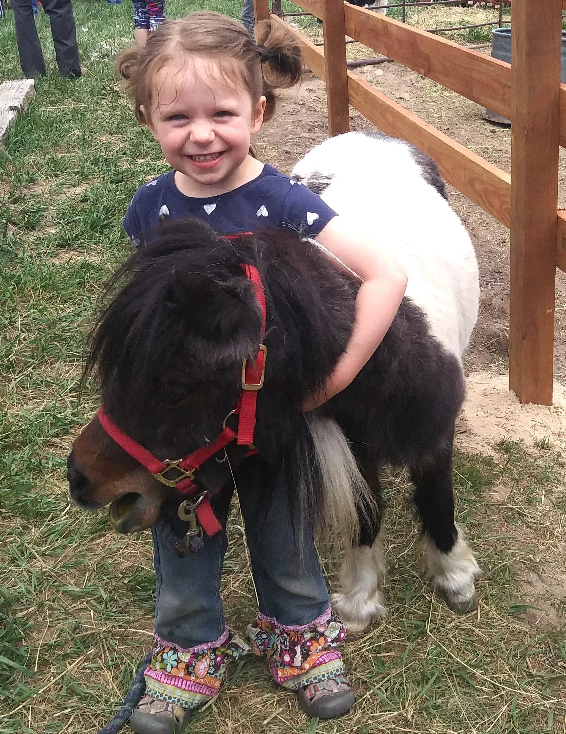 A young girl with curly hair styled in cowlicks smiling while hugging a small black and white puppy outdoors near a wooden fence on grassy ground.