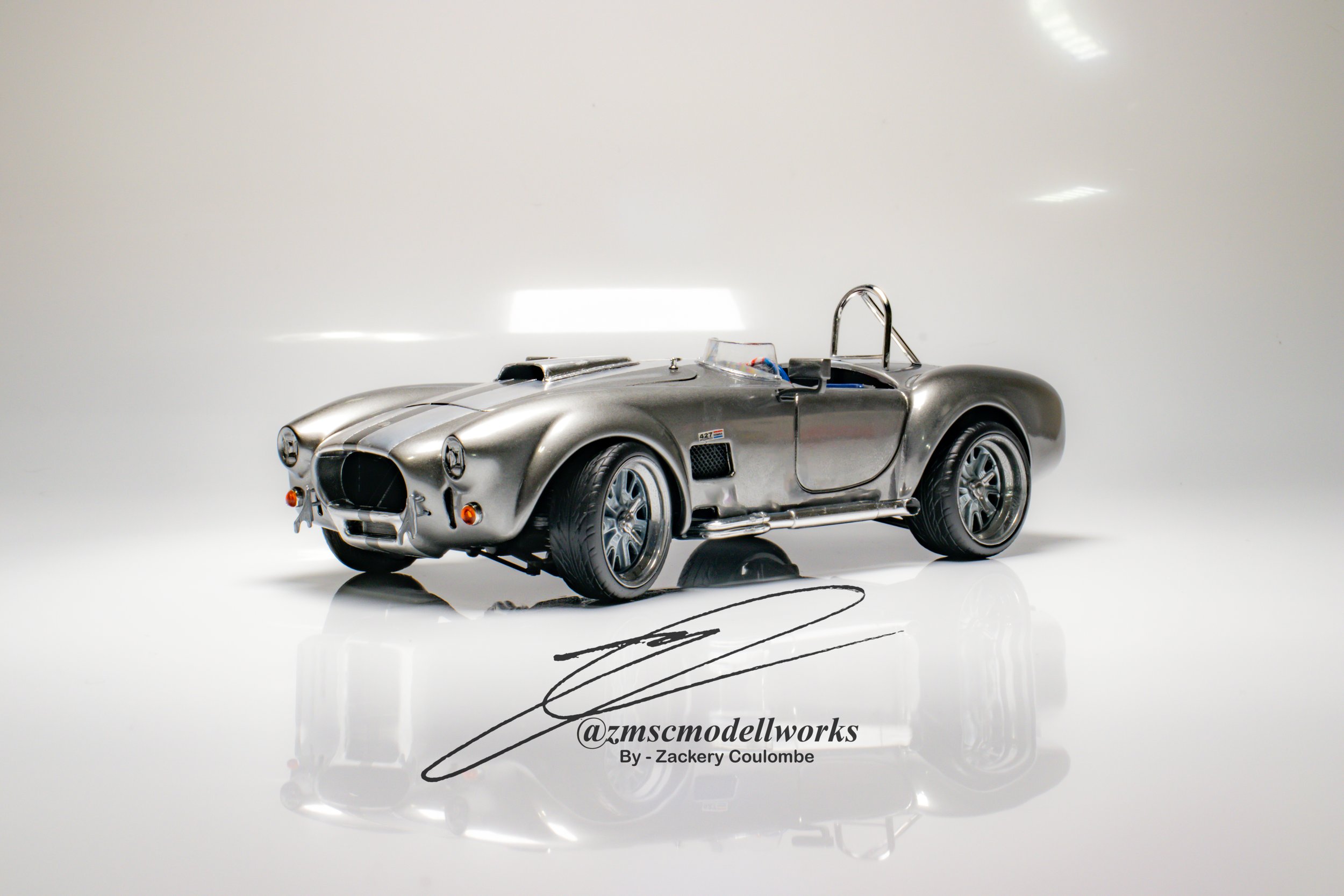 Chrome_Cobra_1-24-5.jpg