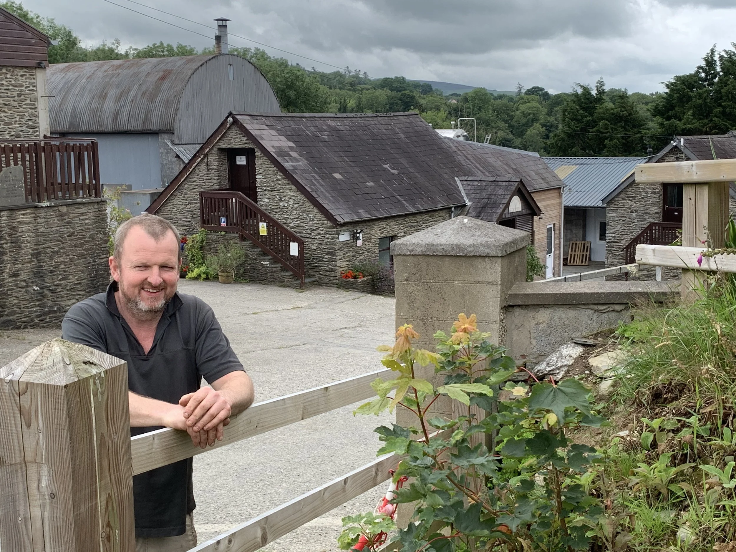 Buy Welsh Cheese, Welsh Cheeses, Buy British Cheese, Buy Welsh Cheese