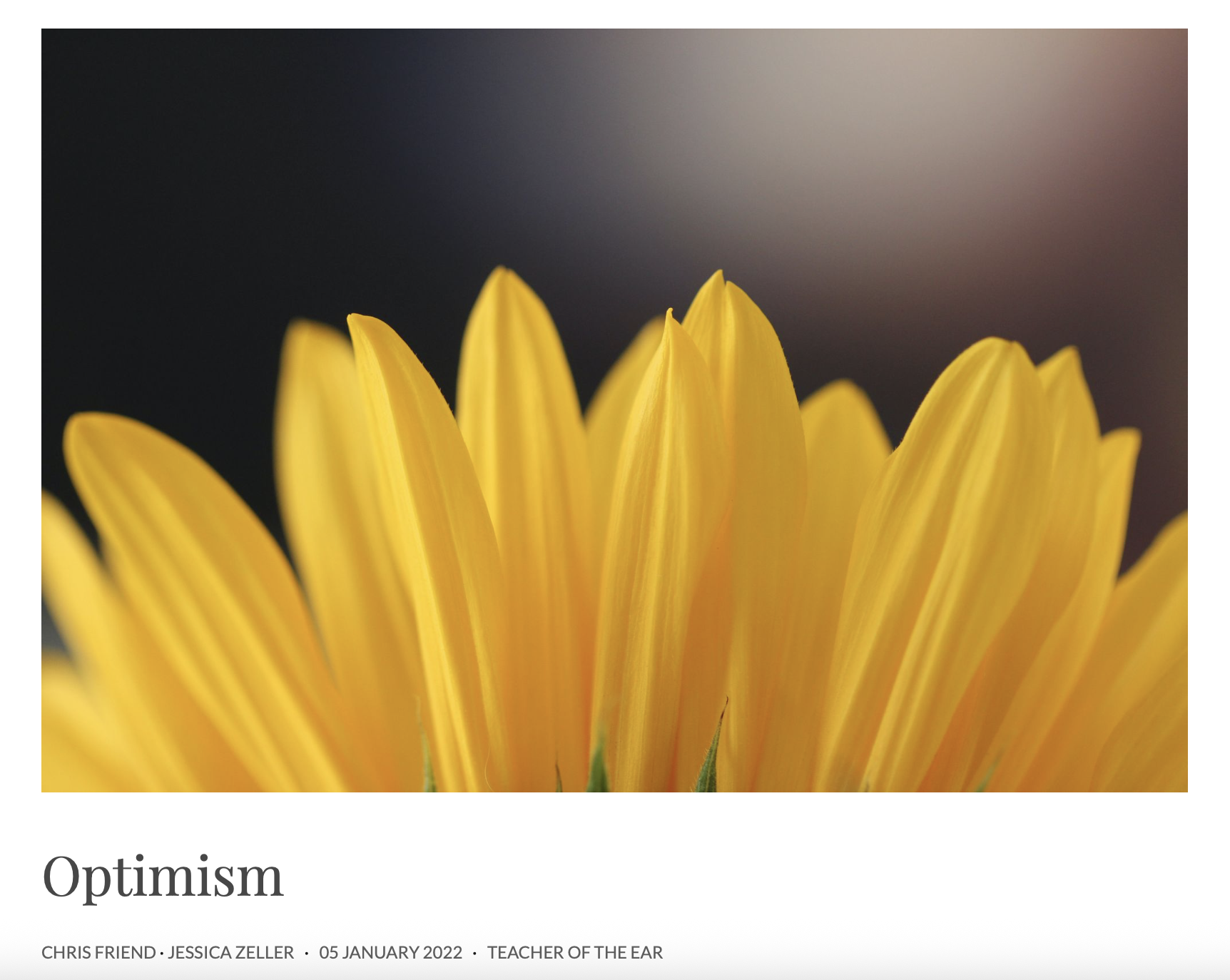 Hybrid Pedagogy Teacher of the Ear Podcast. “Optimism.” Host Chris Friend. January 2022.