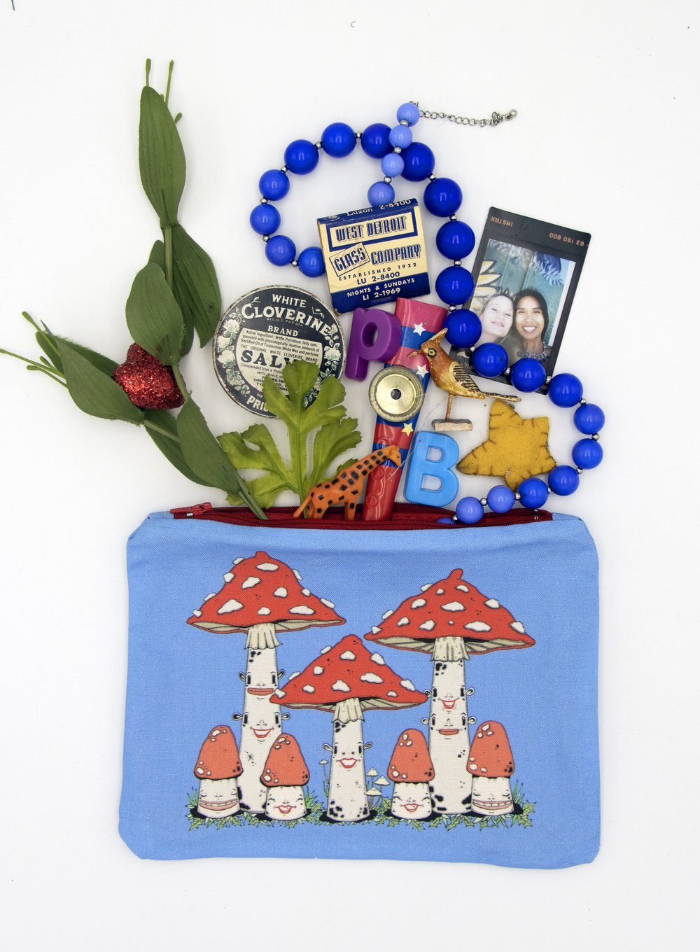 Amanita Fly agaric mushroom fabric print canvas pouch with zipper coin  purse cosmetic bag — Artwork by Danielle O'Malley