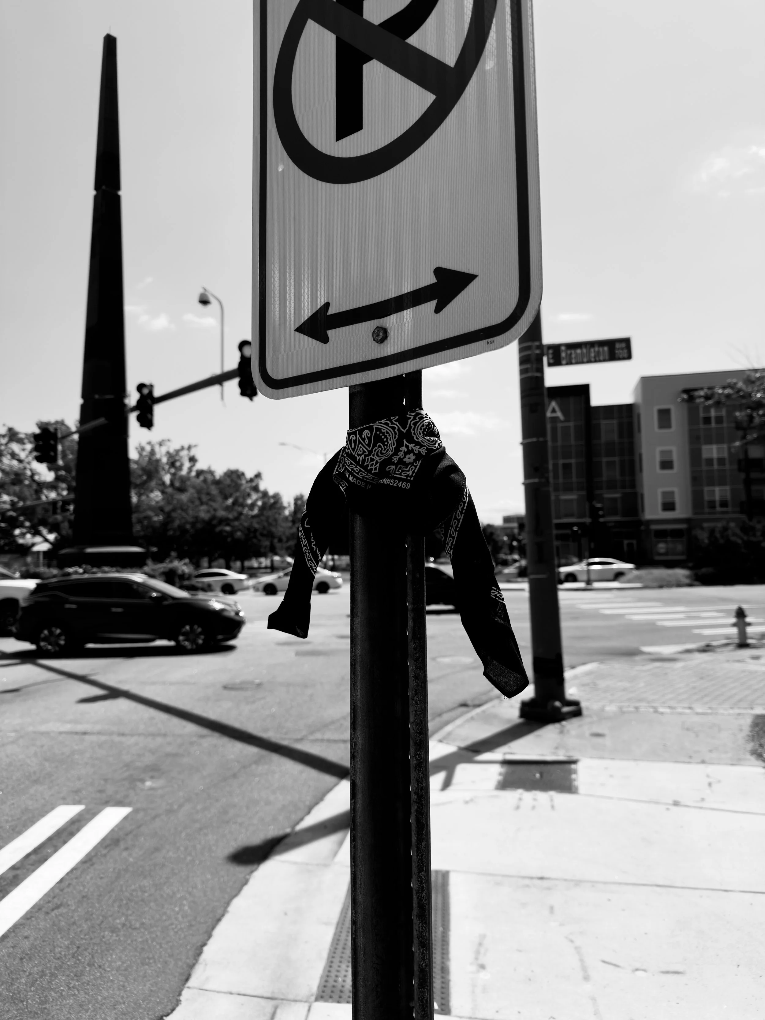 IMG_8162.jpeg