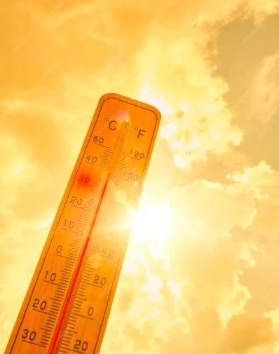 Outdoor Safety 🌞

Heading outside? Stay smart:
&bull; Wear a hat &amp; sunglasses 🧢🕶️
&bull; Take frequent shade breaks
&bull; Apply sunscreen every 2 hours
&bull; Limit strenuous activity

👉 Listen to your body!

#SunSafety #OutdoorTips #SummerR