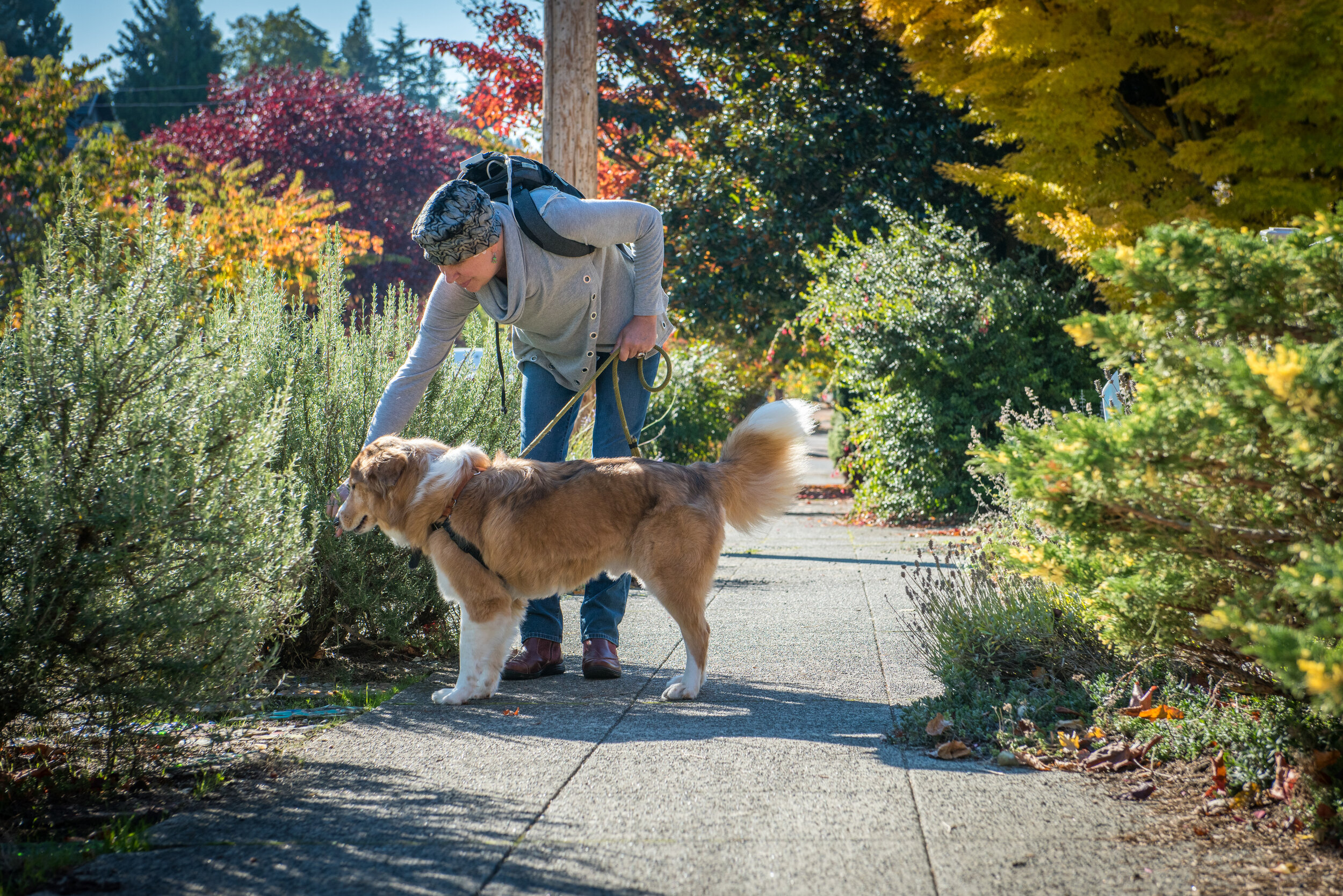 Laura-Walking-Dog.jpg