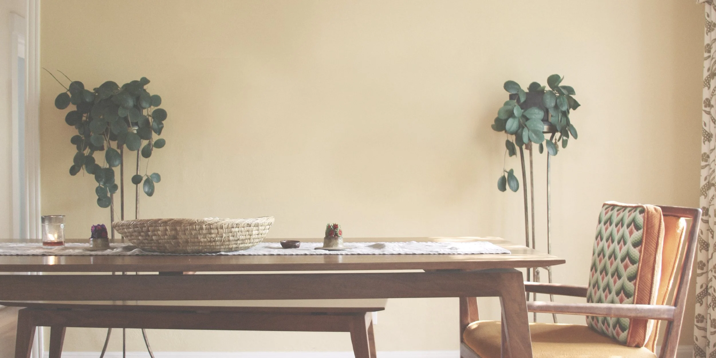 header-country-annex-JessieWebster_Squarespace_09.jpg