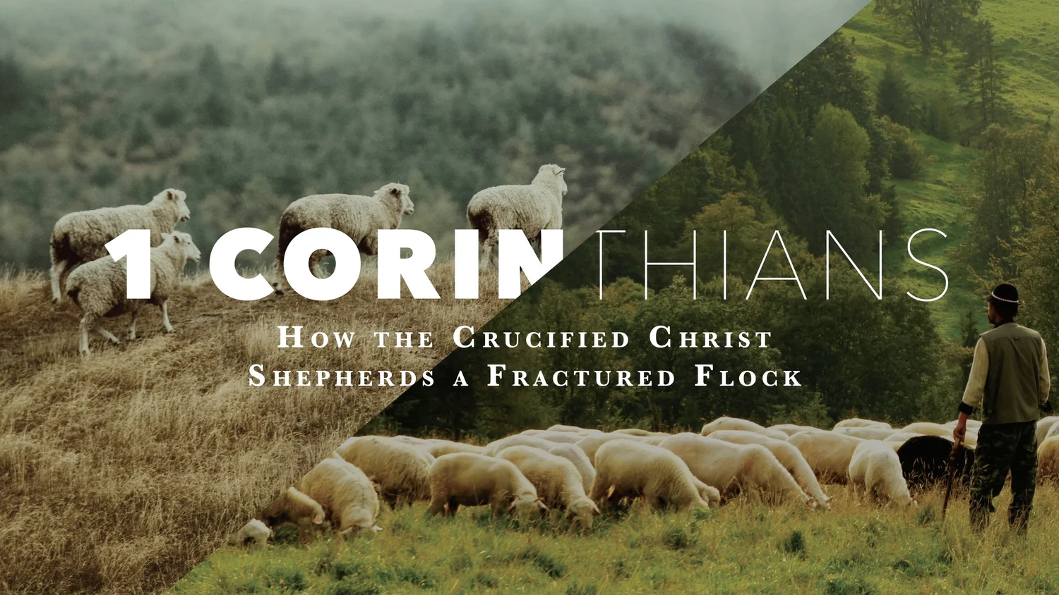 The Scum of the World