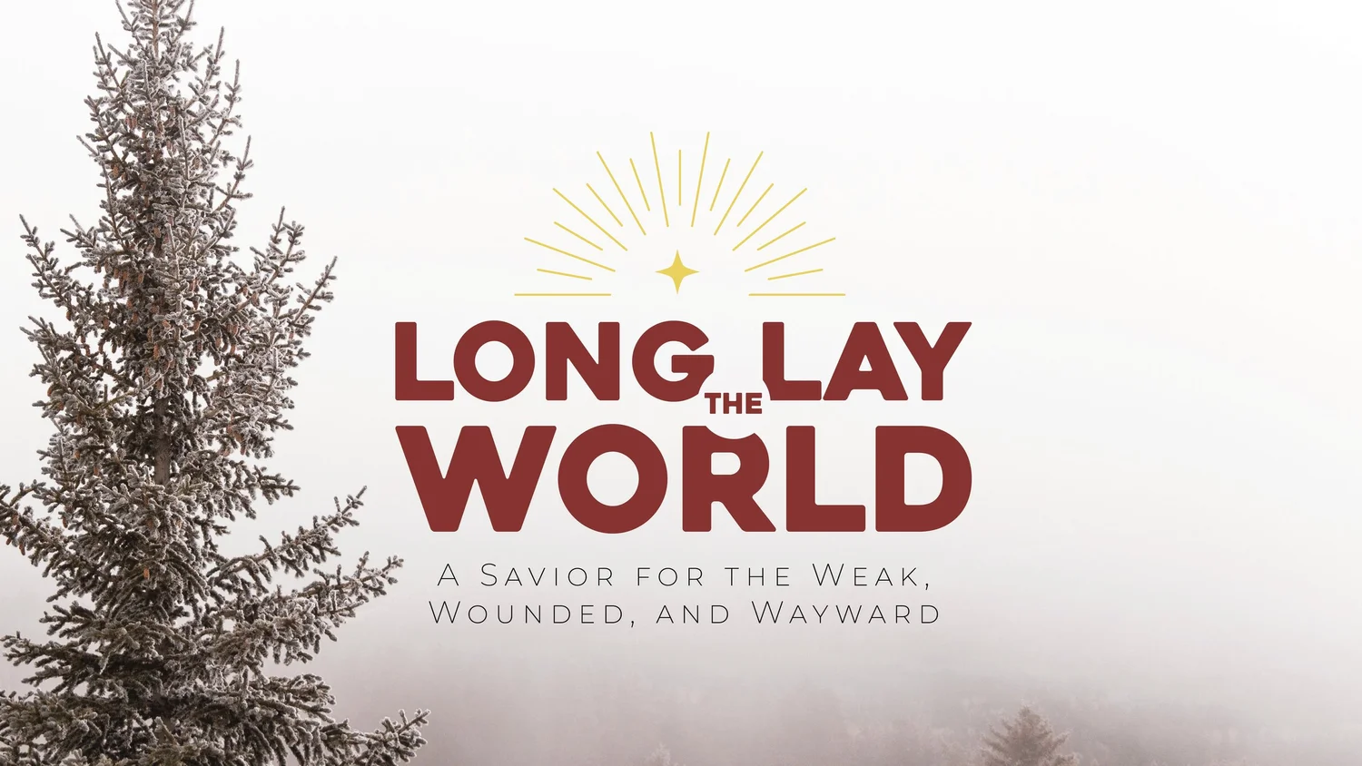 The Savior for the Fearful