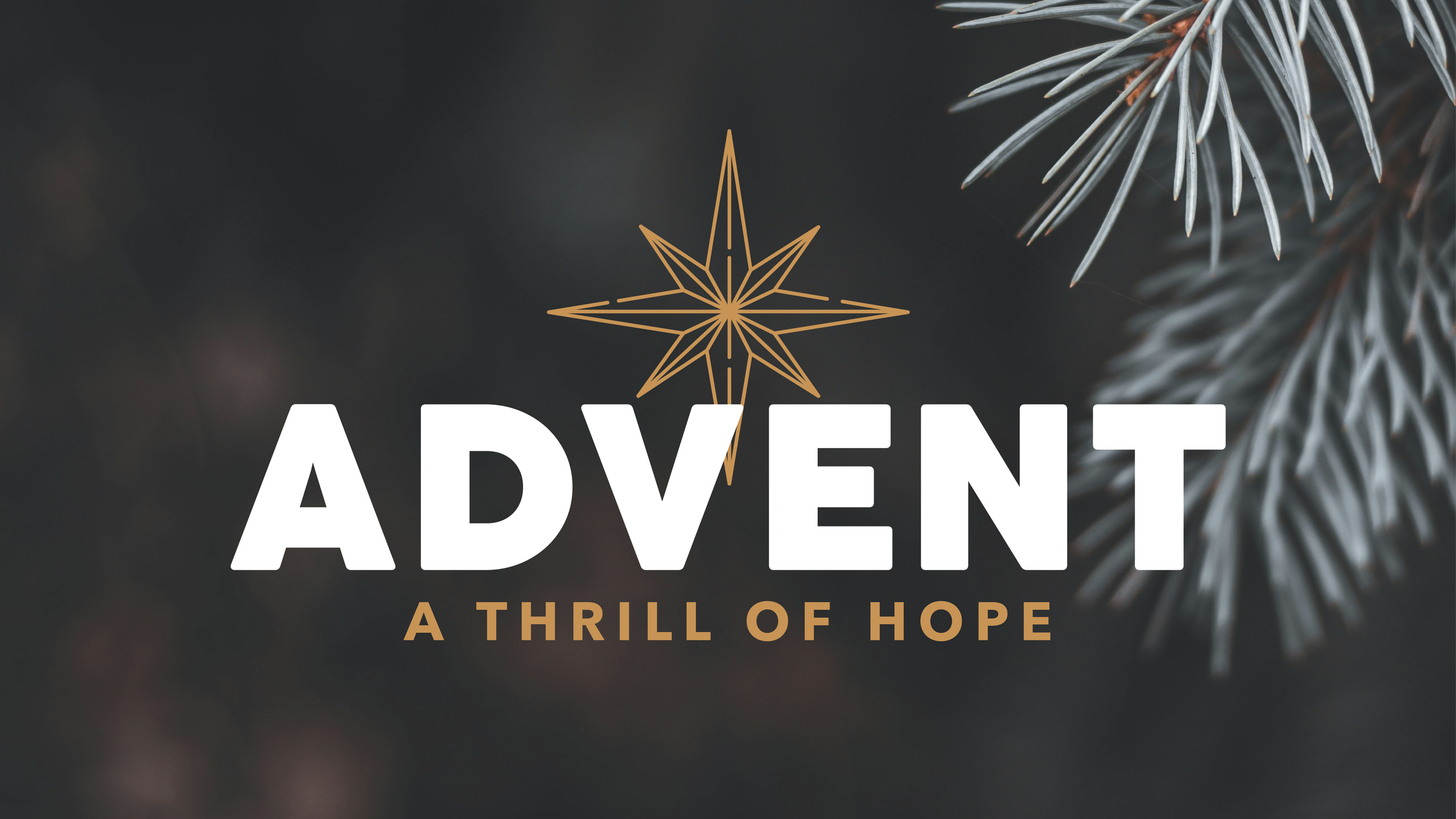 A Thrill of Hope for Those Who Believe