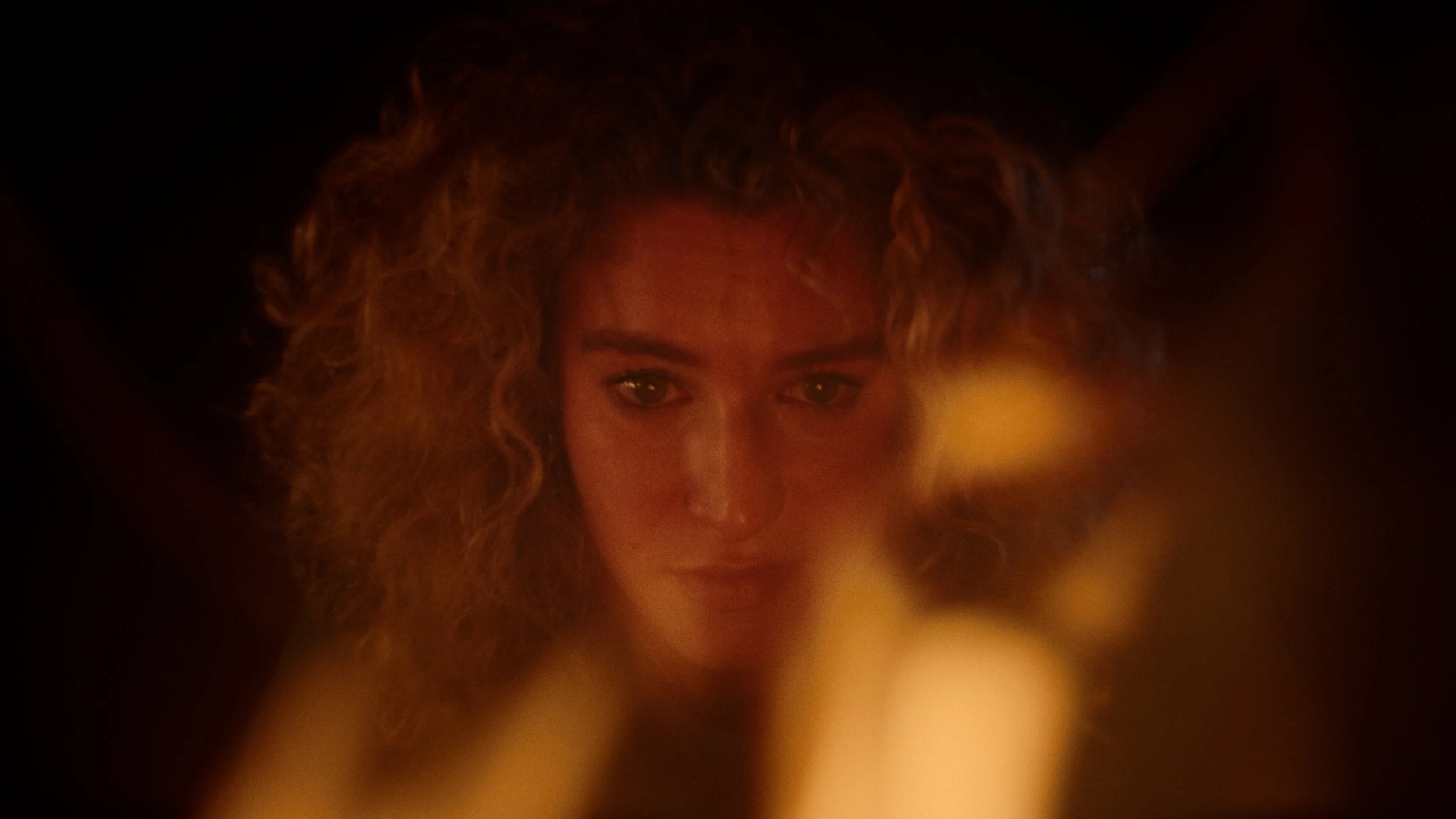 Stick Bug Still 6.jpg