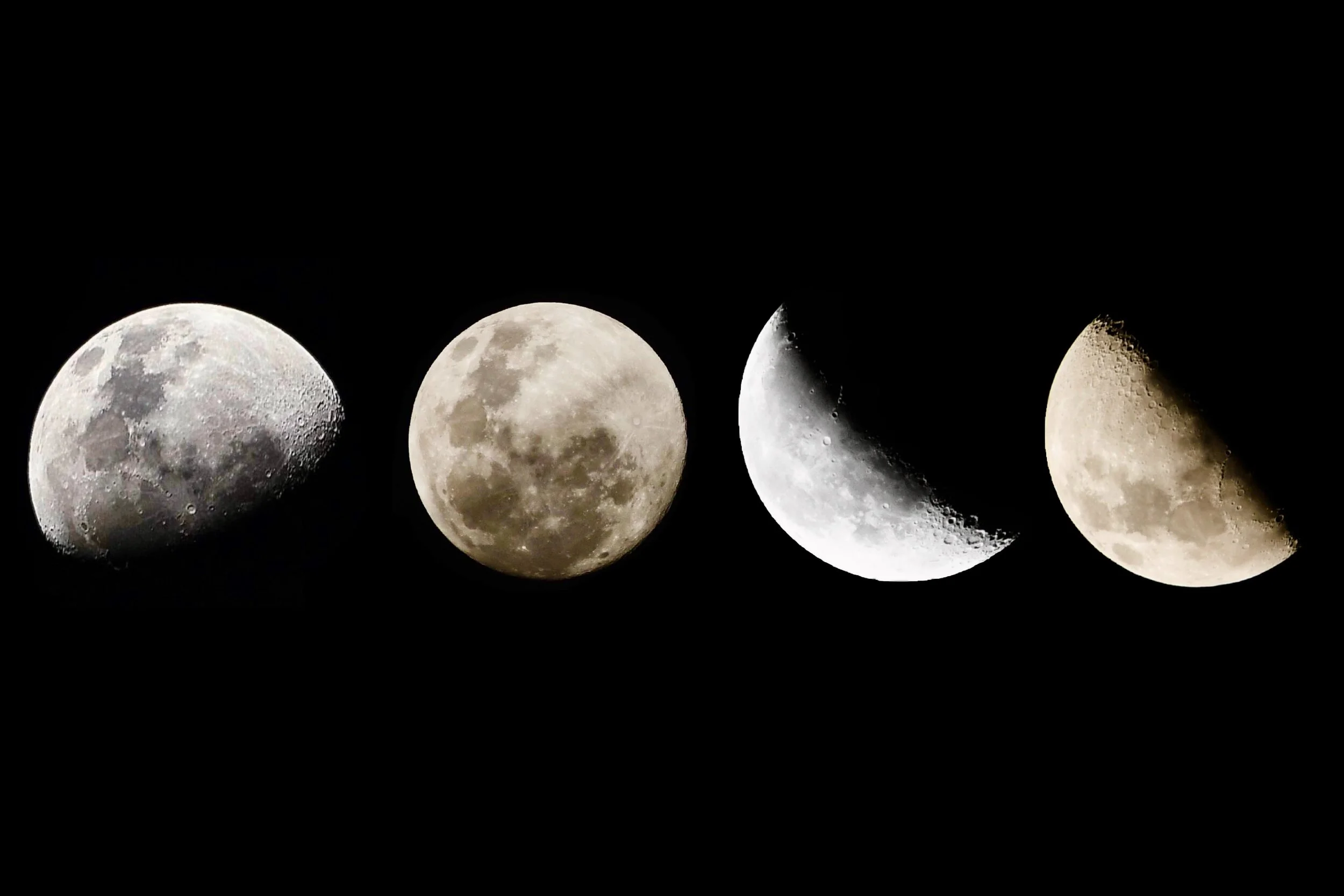 moriah-leynes--2bJrPTwRtw-unsplash.jpg