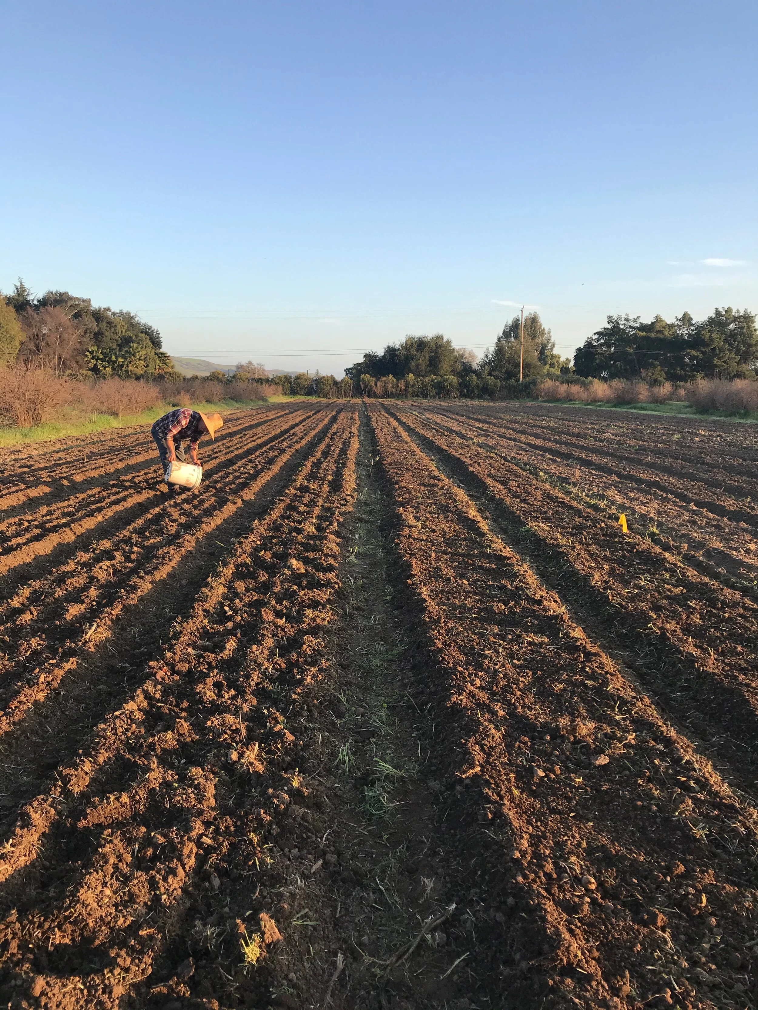 SRD Issue 4 Image 1.jpeg