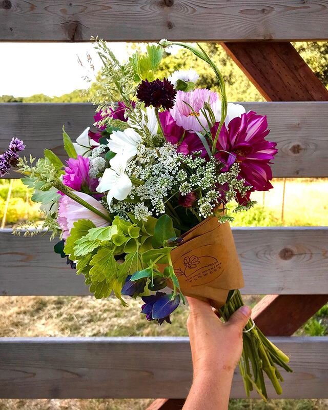 Twice a month, you could receive a fresh cut, seasonal bouquet! 🌻🌸🌹 sign yourself up at sonomamountainflowers.com