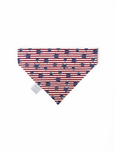 Anniversary of America