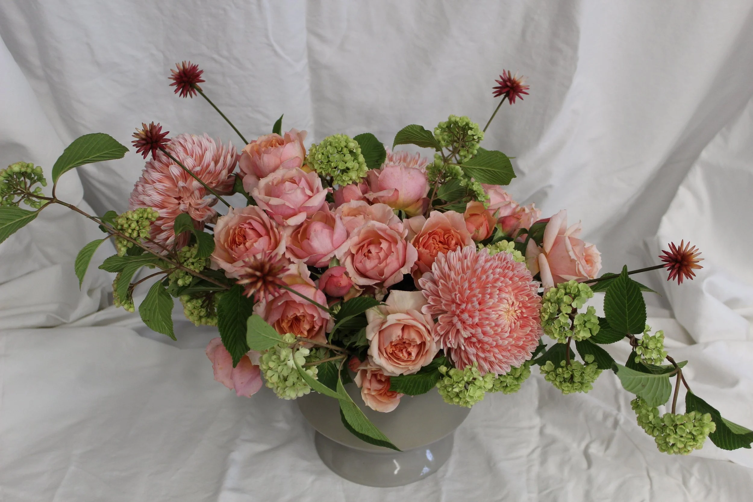 Coral flowers.JPG
