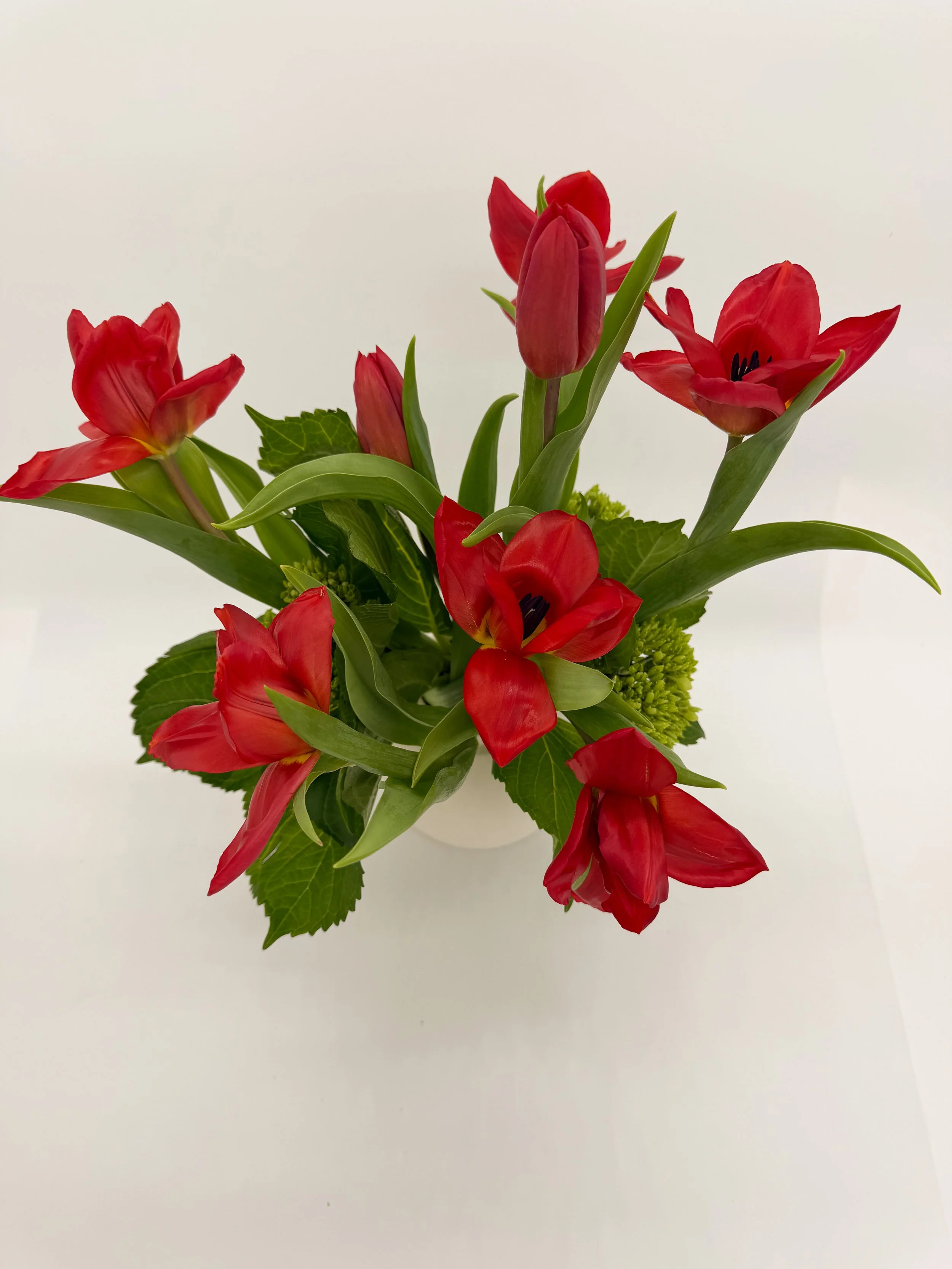 Tulip Valentines Day Arrangement