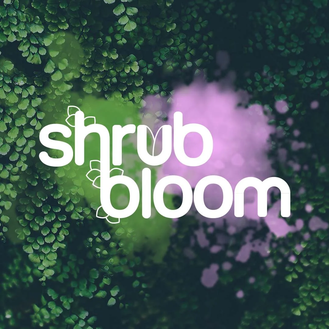 shrub bloom