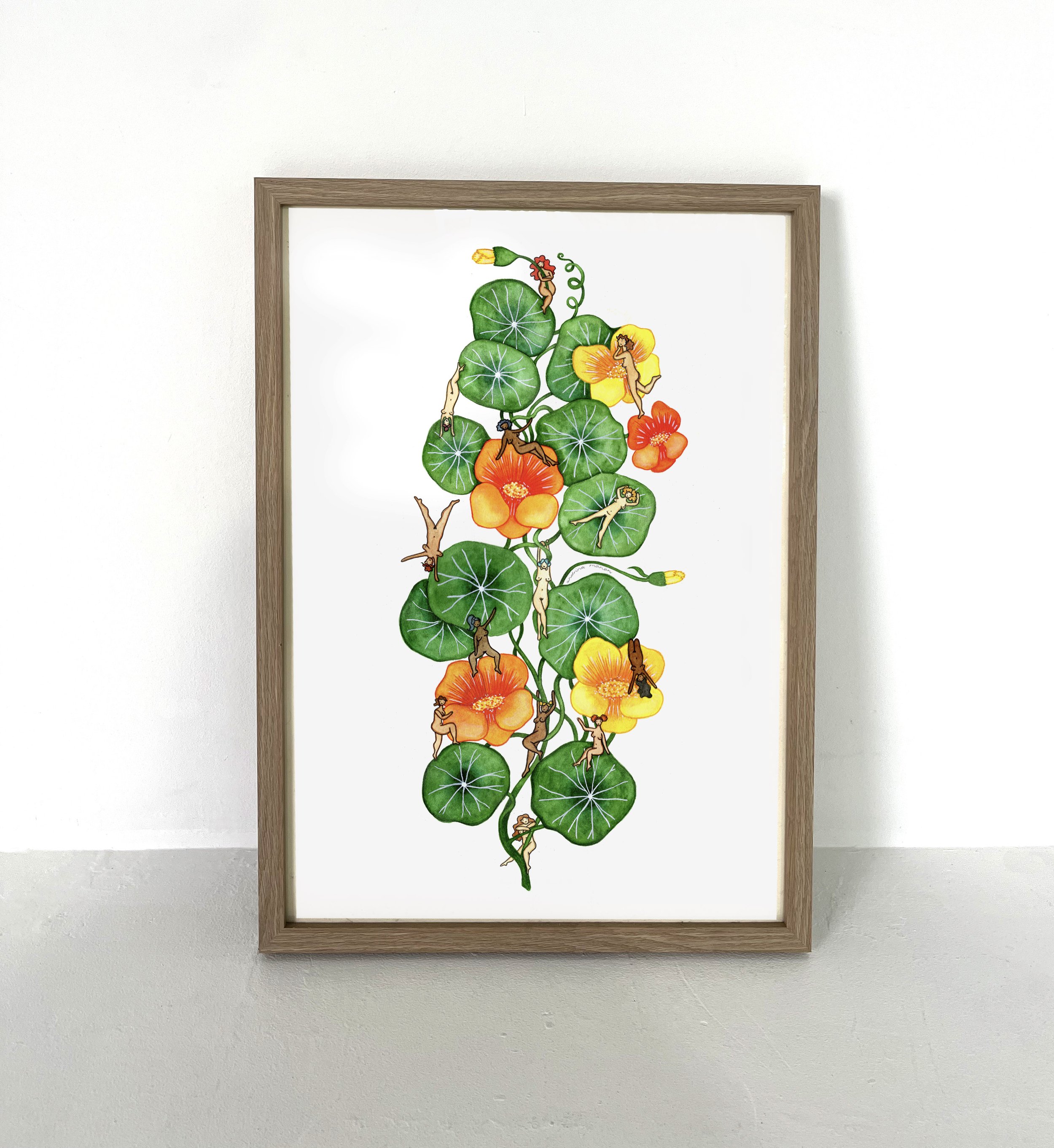 nasturtium 1.jpg