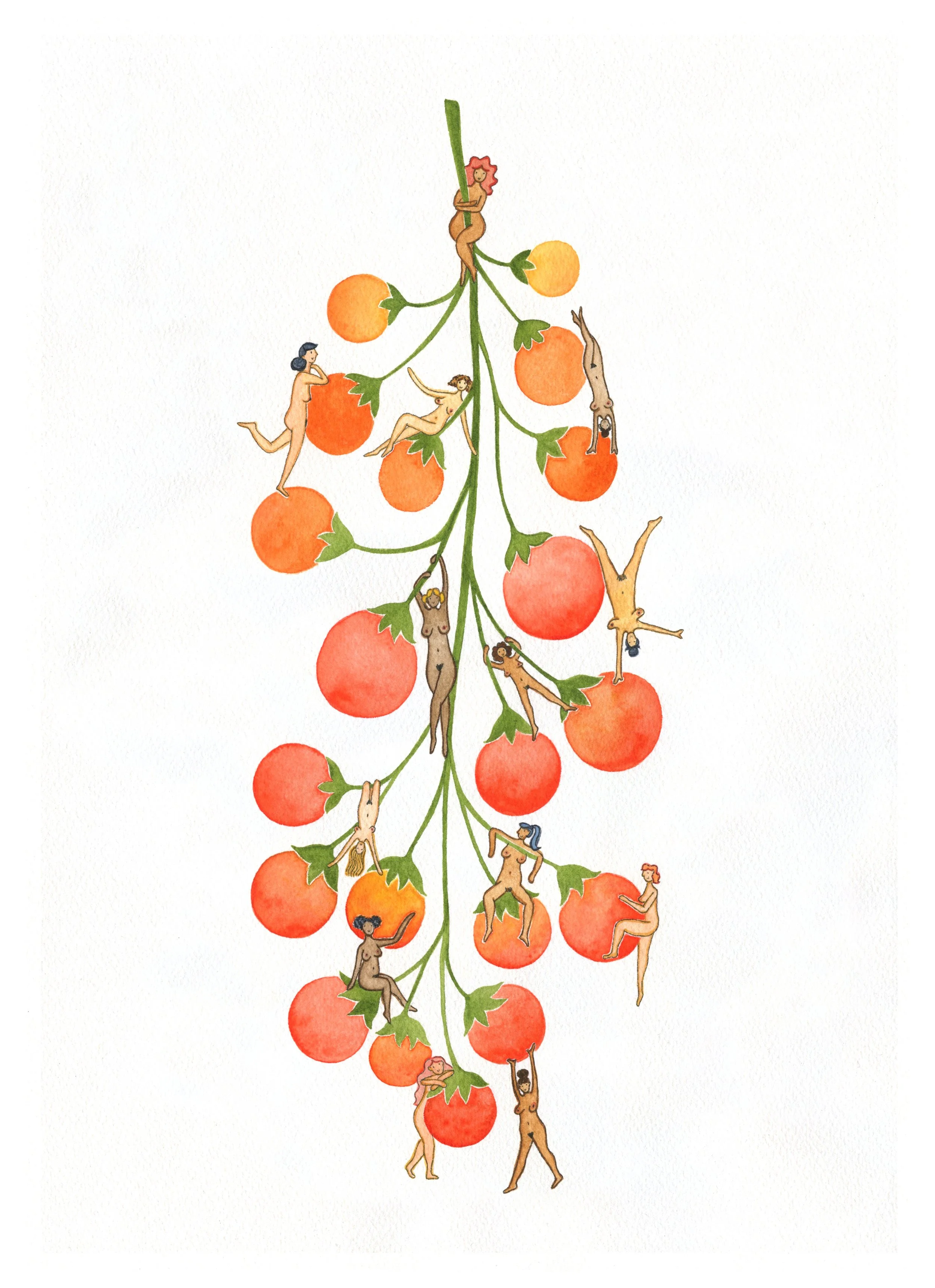 'Cherry Tom Bomb', 29.7x42cm, watercolour on French coldpress cotton paper