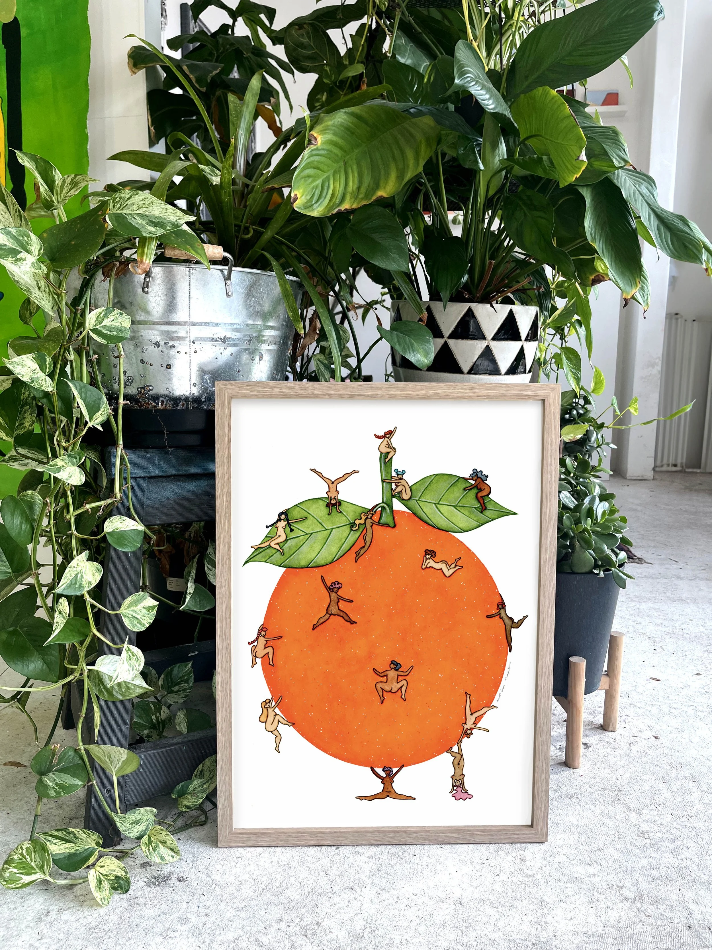the giant orange 3.jpg