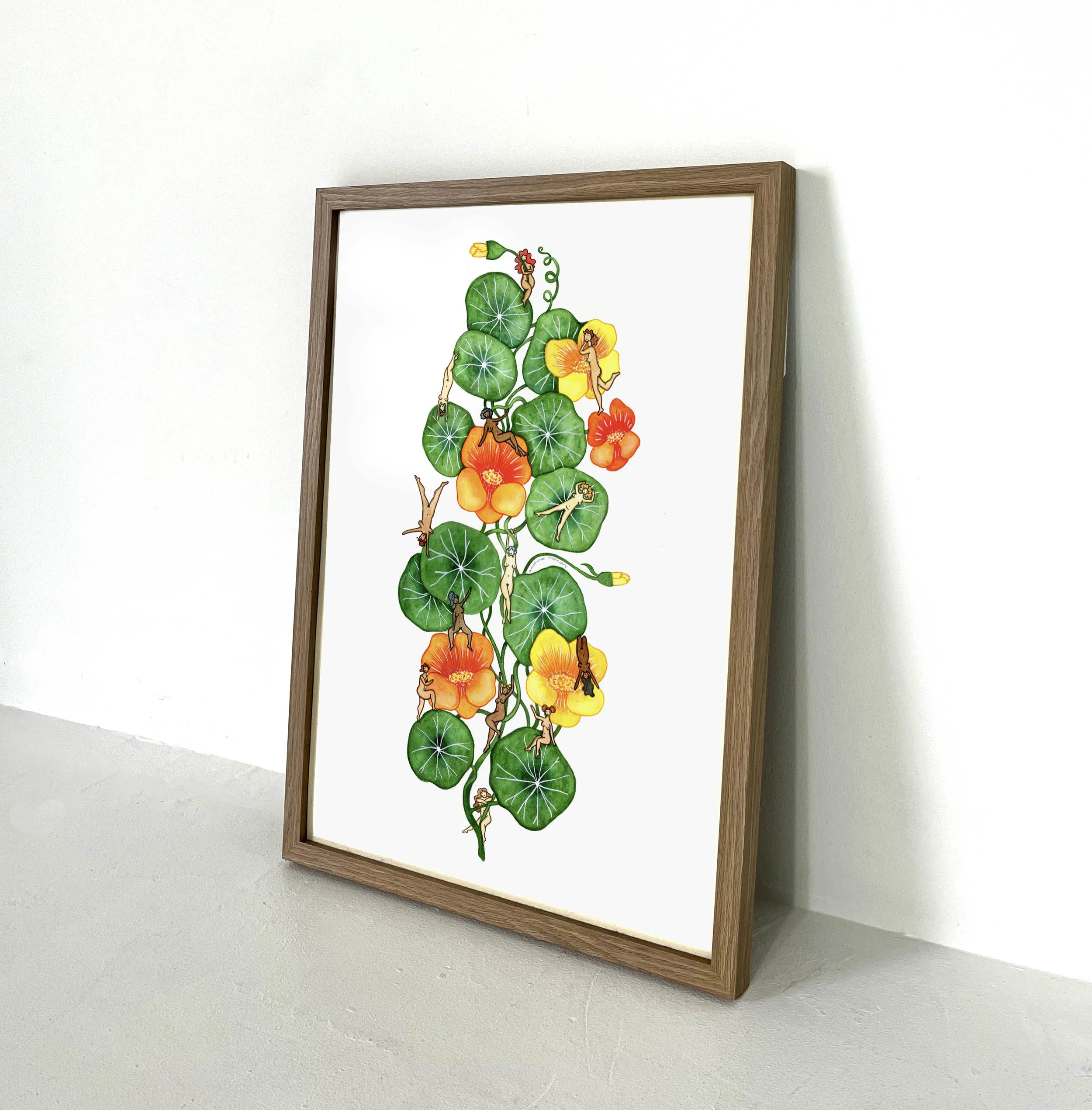 nasturtium 2.jpg