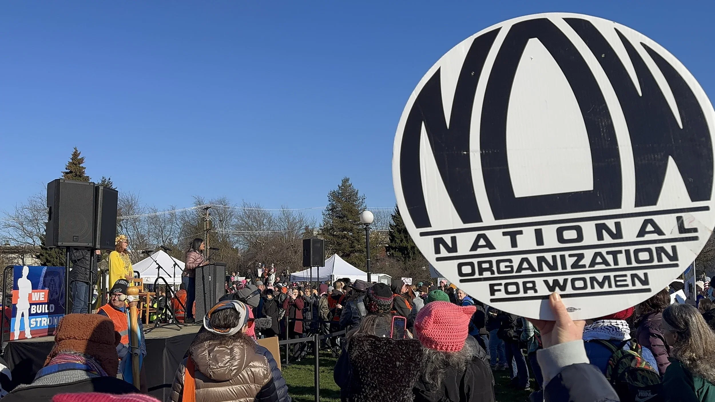 Seattle NOW Picnic: Celebrating Women's Equality Day