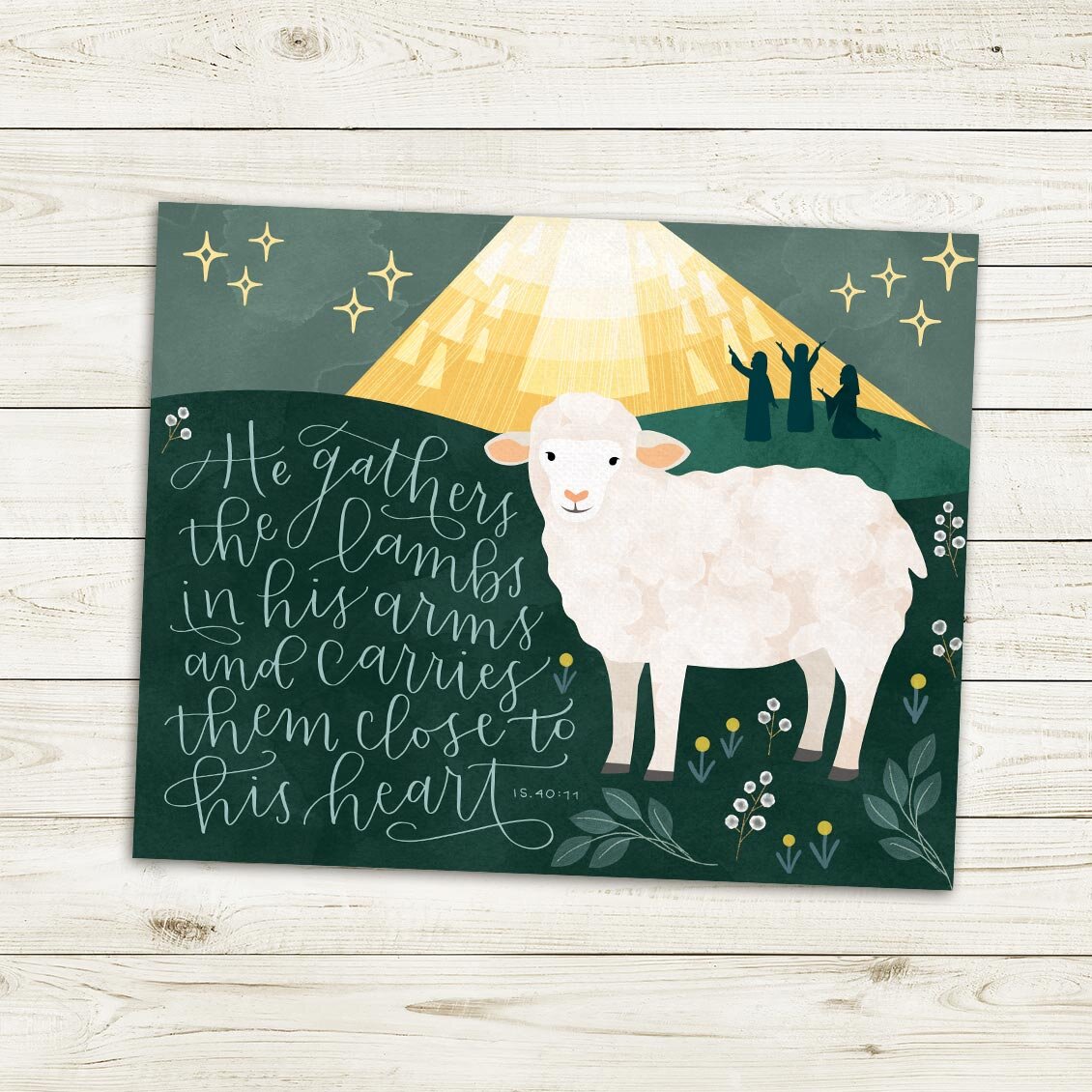 sheep-web.jpg