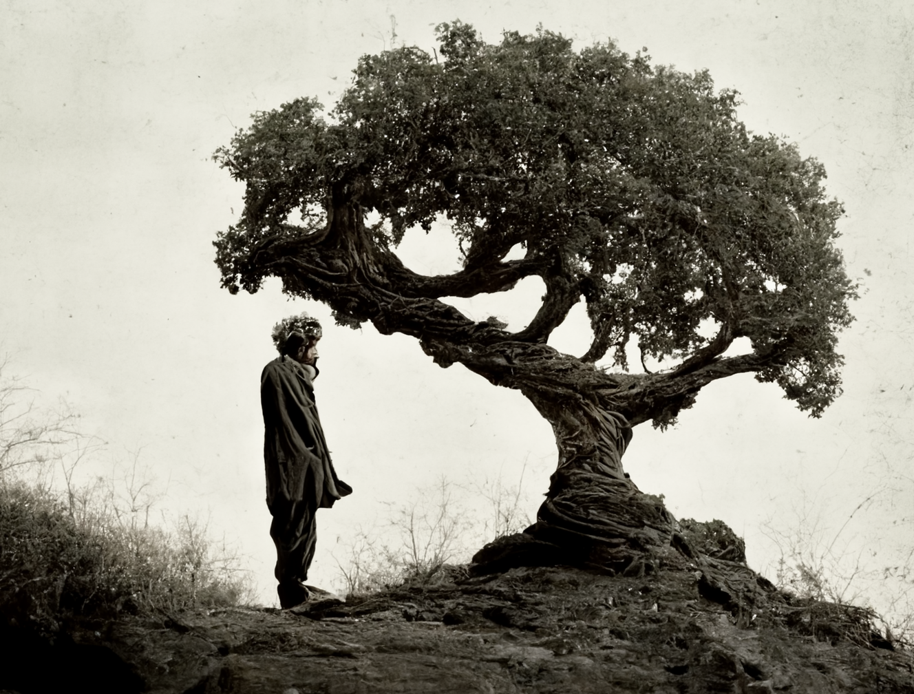 Cheeky_a_photo_of_Gabor_Mate_leaning_up_against_a_tree_b98496d1-5bf7-45c3-a9d6-f6eea32f7e69.png