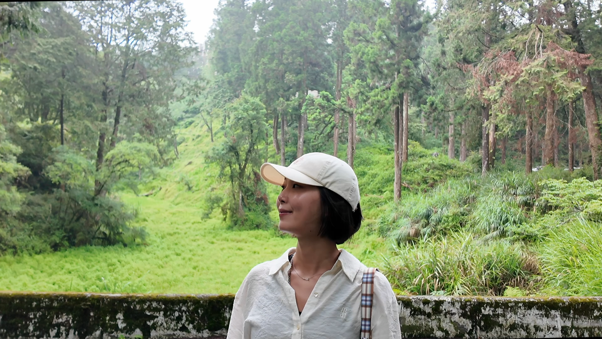 How to Get to Alishan 