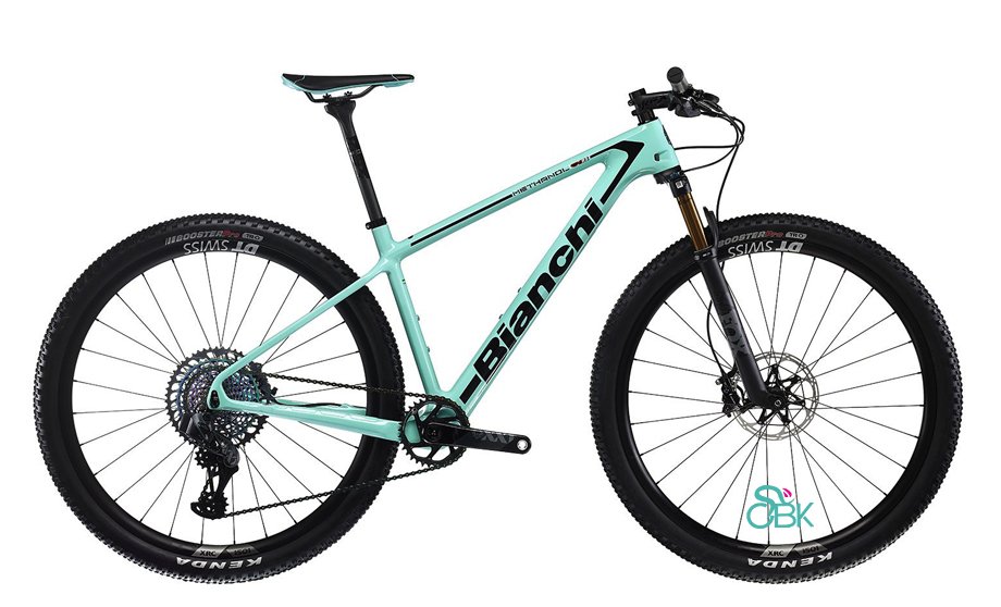 Bianchi_Methanol_RS_91_EagleXX1.jpg