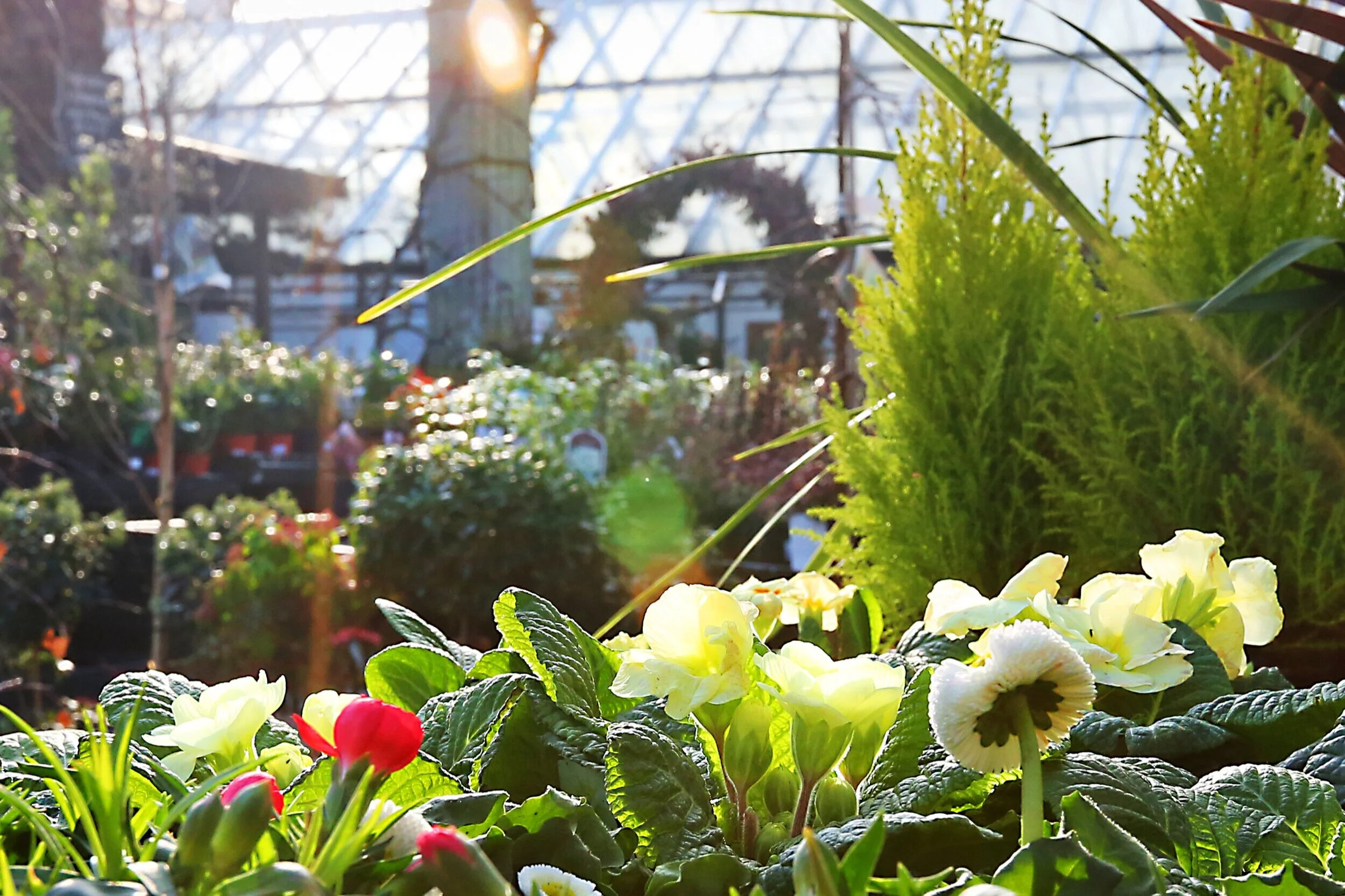 Locations — Flotsam & Jetsam Cafe