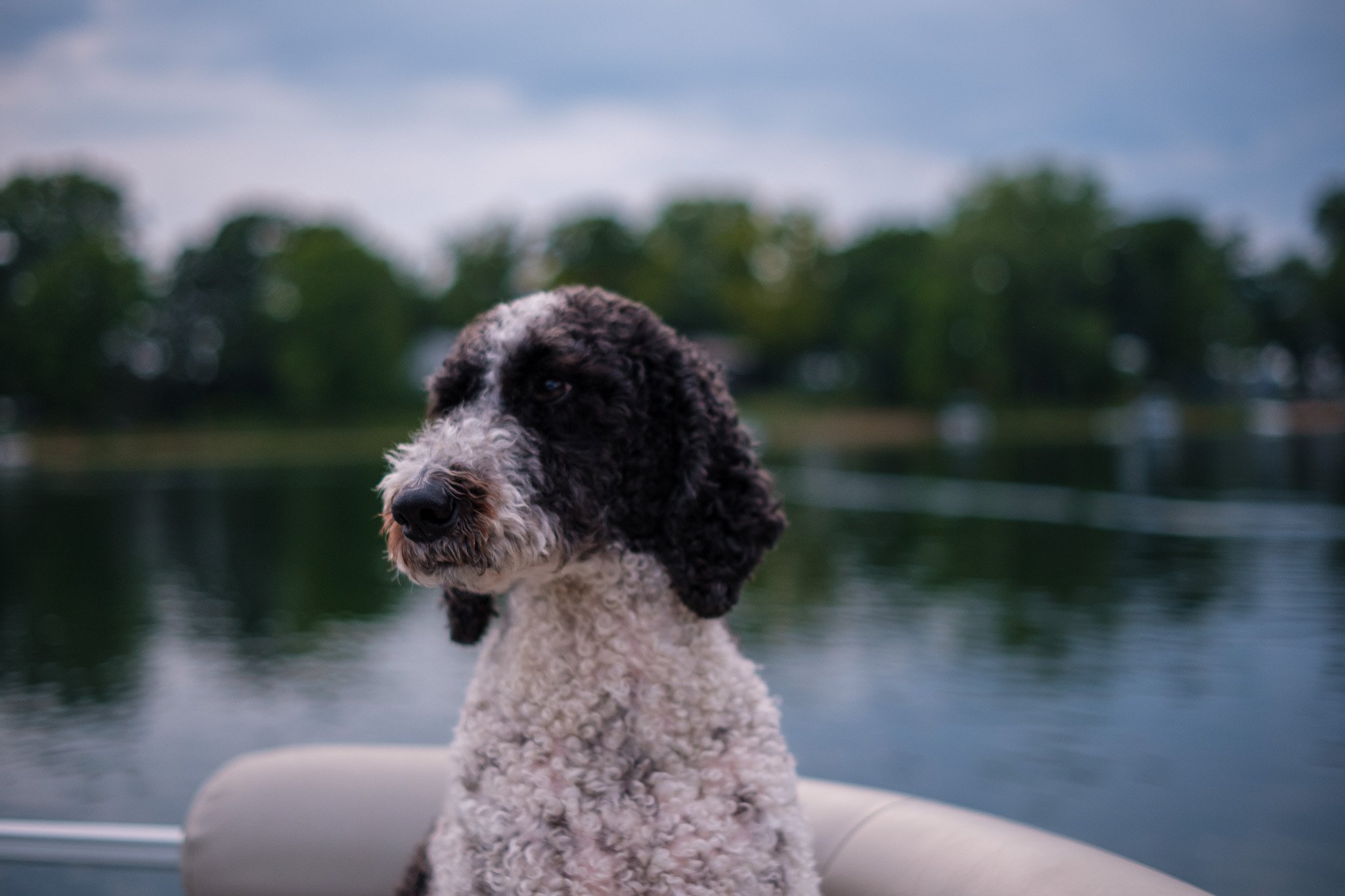 Cowden Lake - July 2025-018.jpg