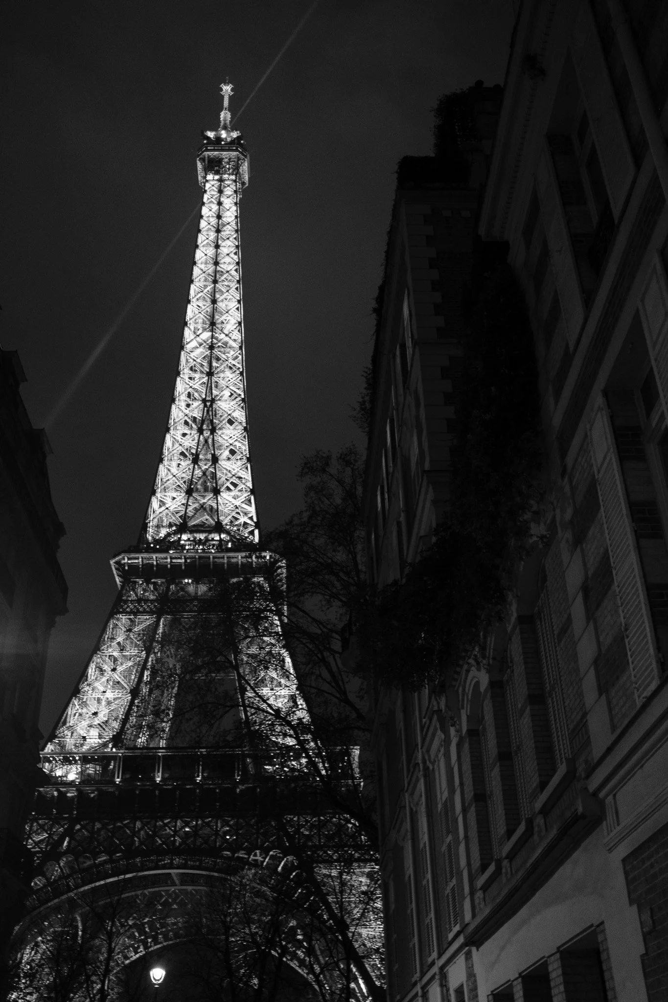 Paris KPL 40 December 2025 Selects-54.jpg