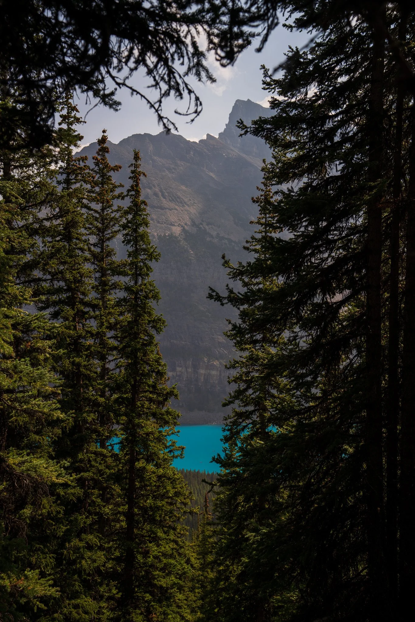 Banff 091325 Moraine Lake _ Larch Valley _ Sentinal Pass PREV-48.jpg