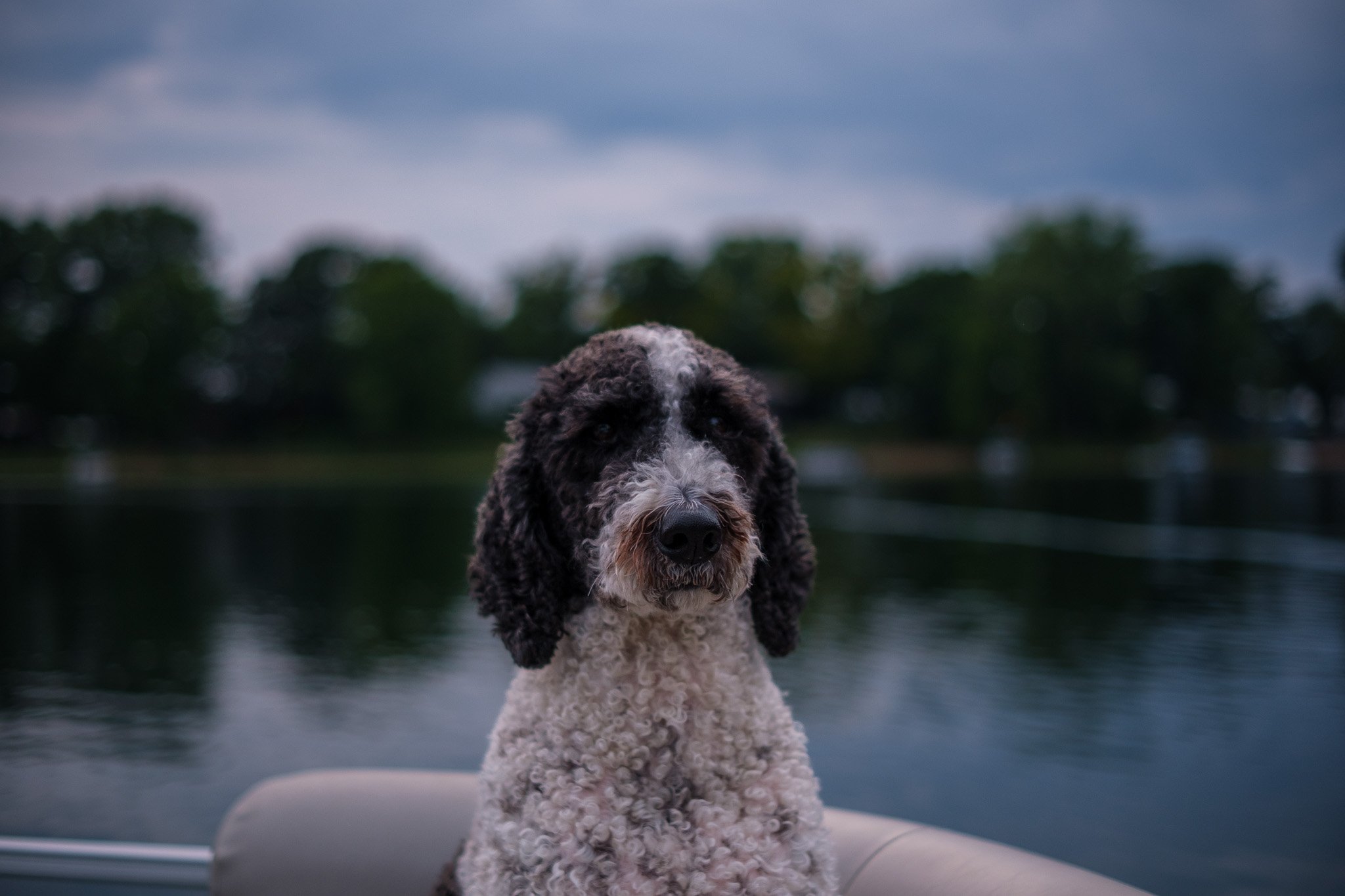 Cowden Lake - July 2025-017.jpg