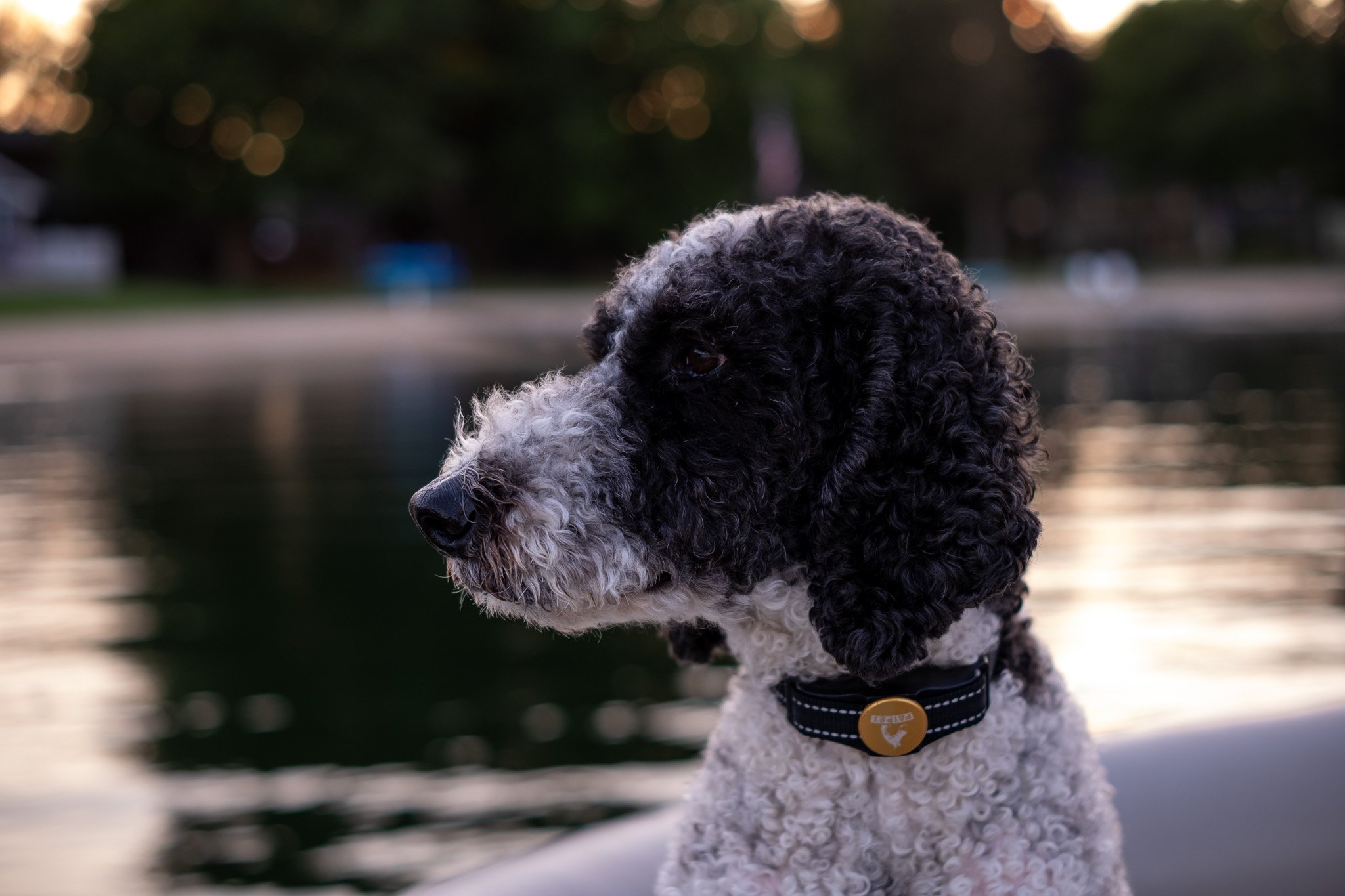 Cowden Lake - July 2025-090.jpg