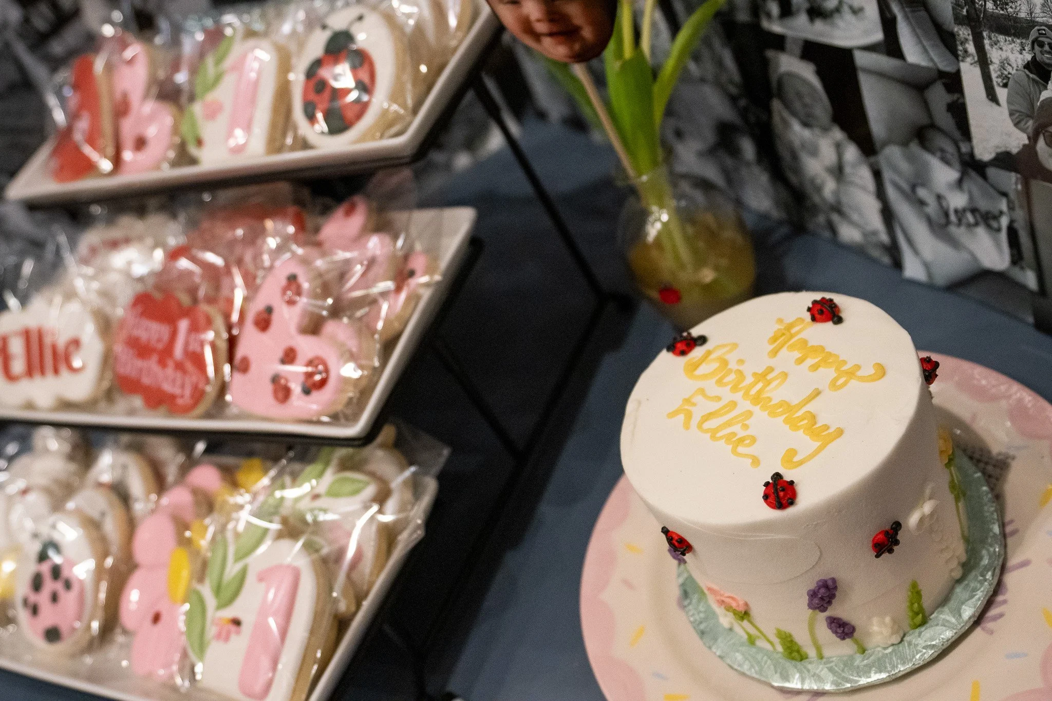 Ellie 021425 Birthday Party-012.jpg