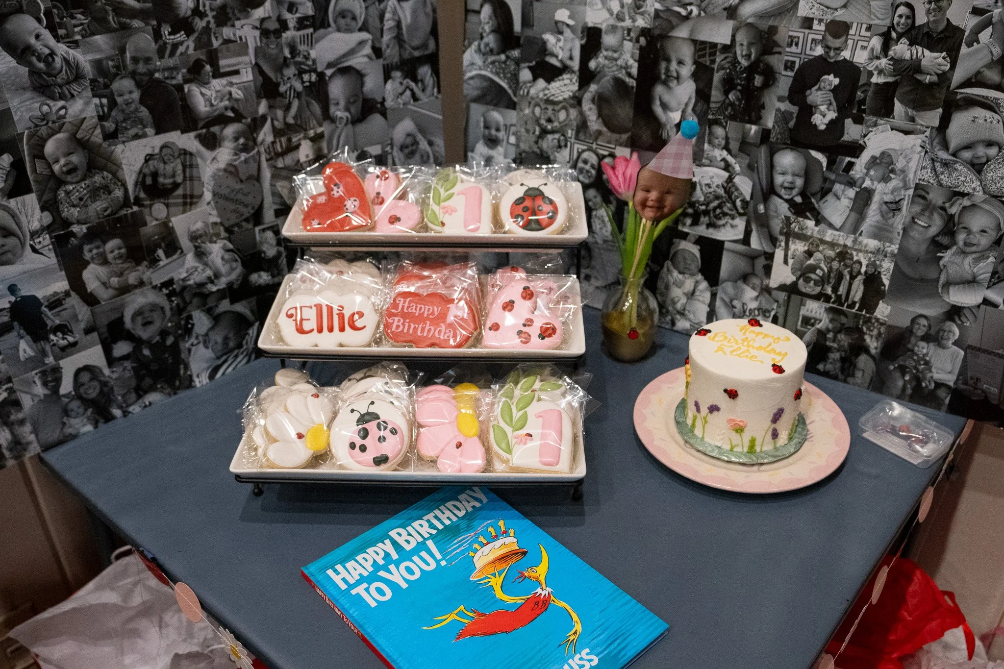 Ellie 021425 Birthday Party-014.jpg