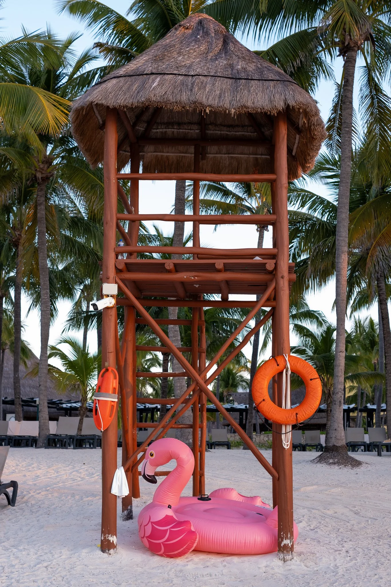 Eric + Riley (Barcelo Riviera Maya Feb 2026)-26.jpg
